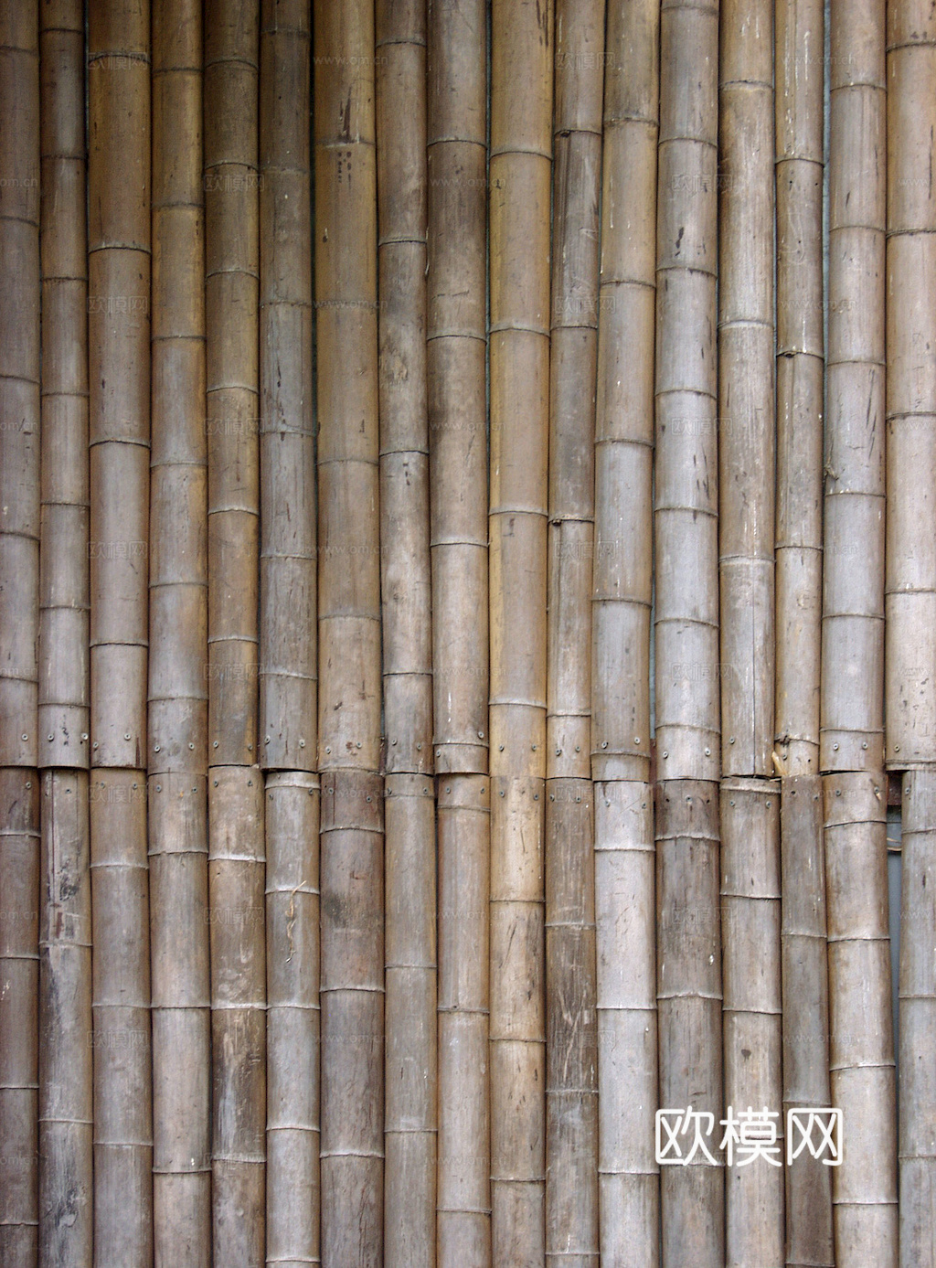 竹子 竹干 竹排 竹筏