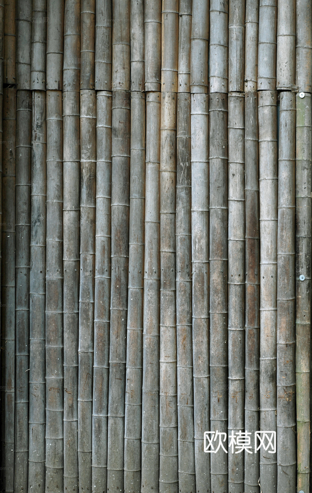 竹子 竹干 竹排 竹筏