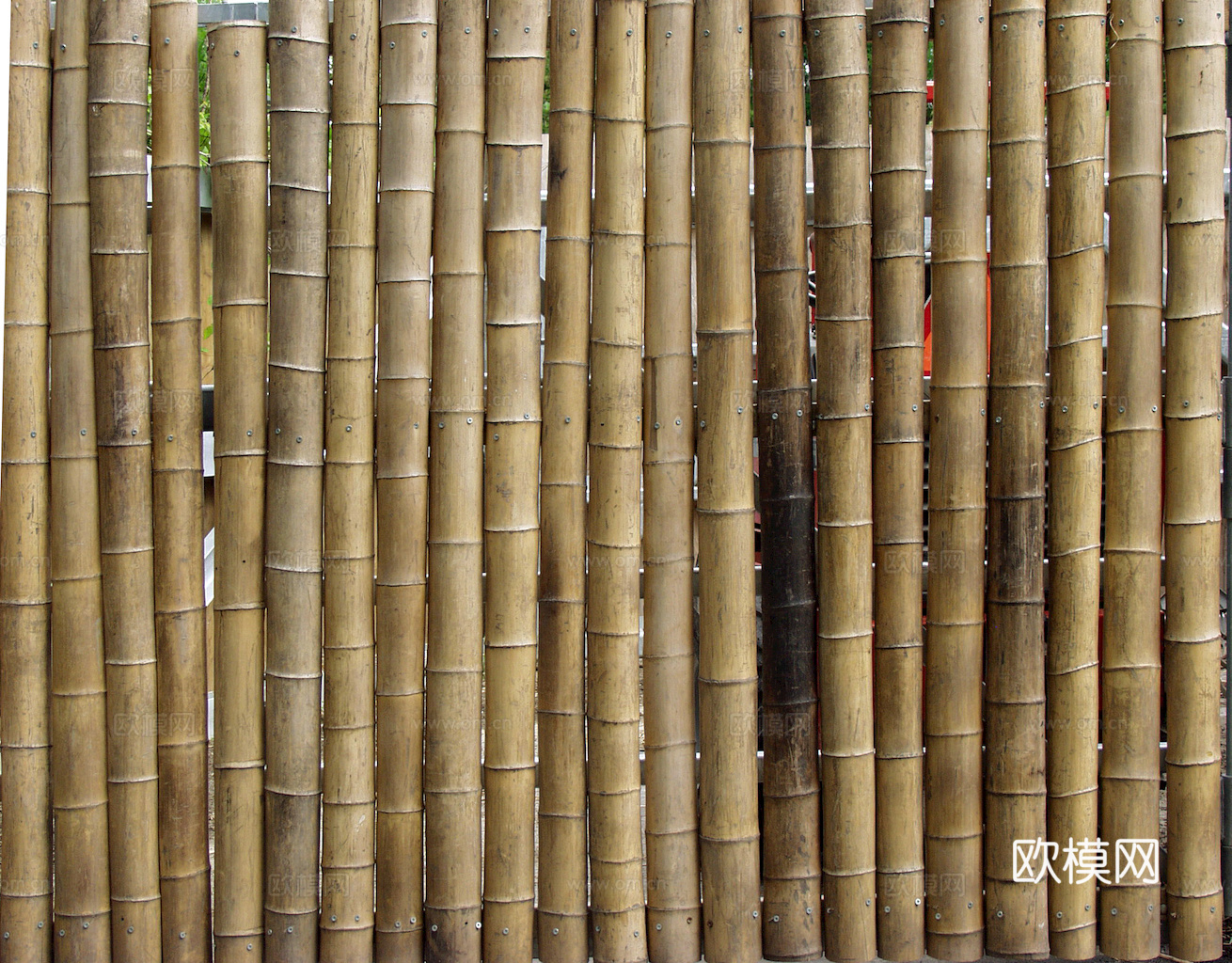 竹子 竹干 竹排 竹筏