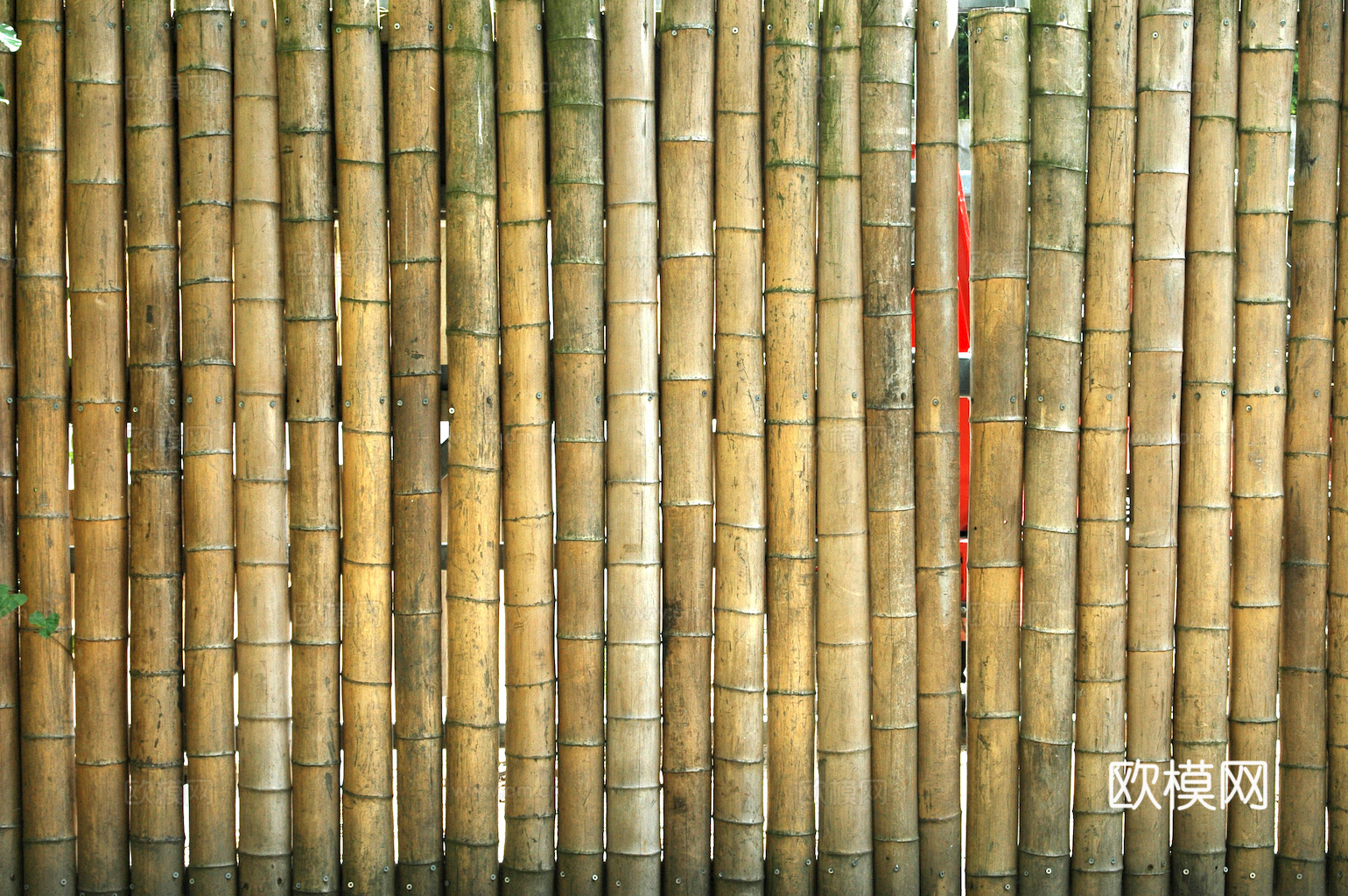 竹子 竹干 竹排 竹筏