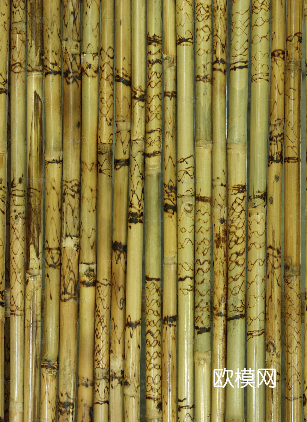 竹子 竹干 竹排 竹筏 竹编