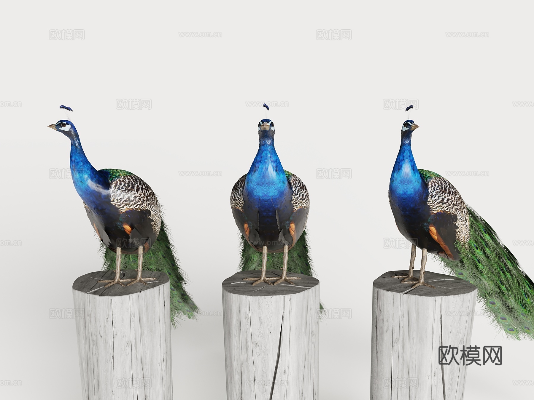 孔雀 孔雀雕像雕塑 孔雀摆件饰品su模型