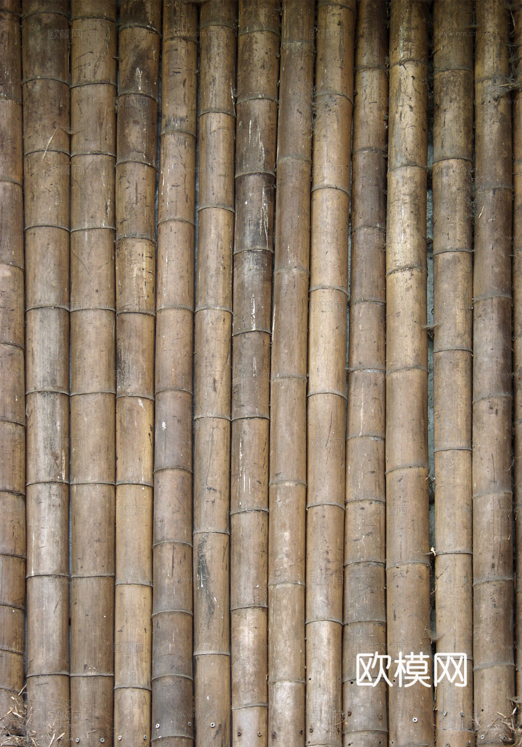 竹子 竹干 竹排 竹筏