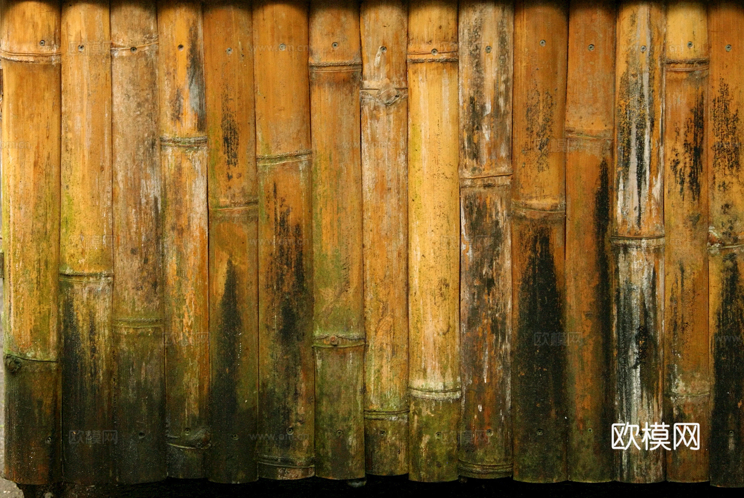 竹子 竹干 竹排 竹筏