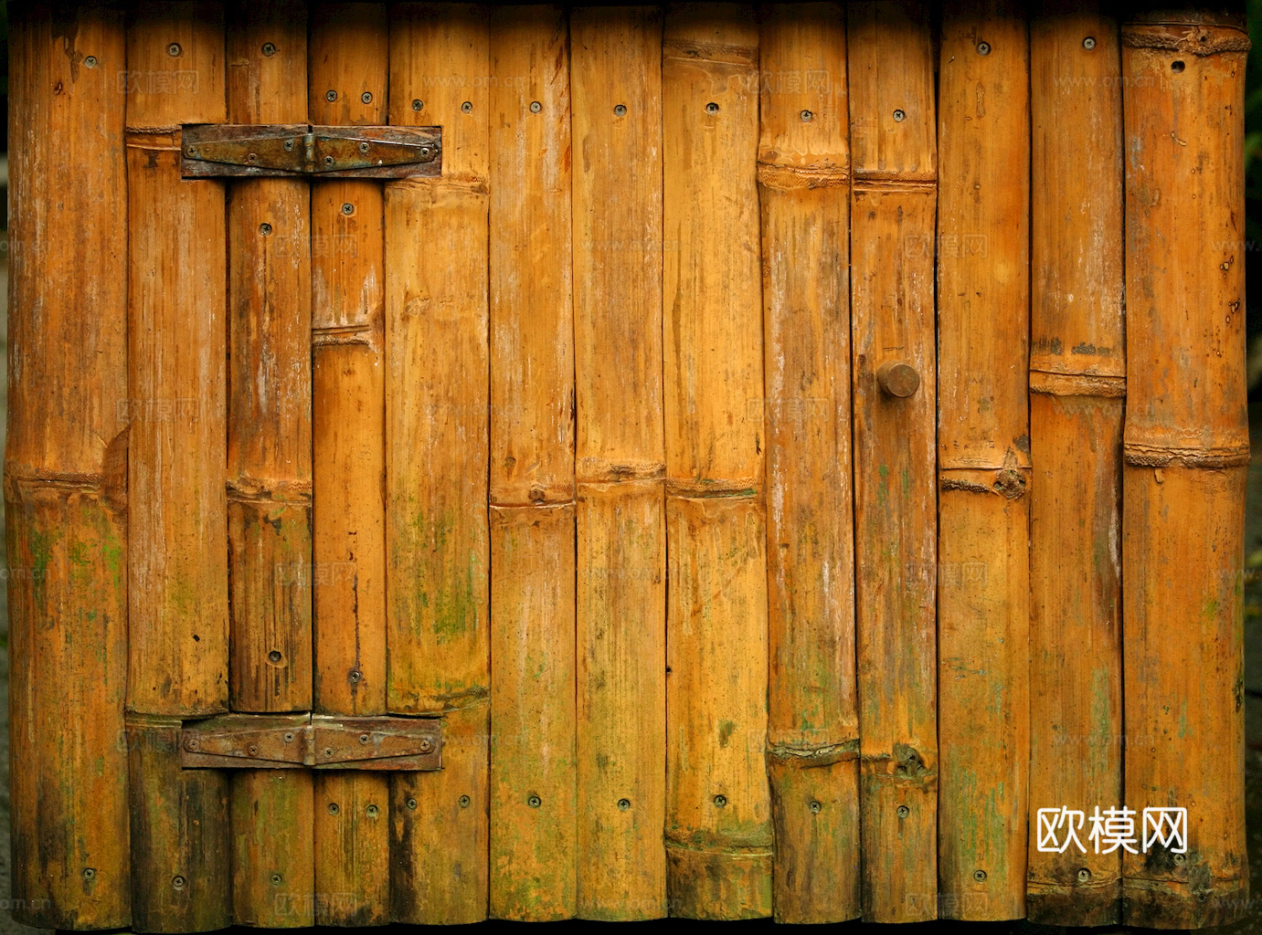 竹子 竹干 竹排 竹筏