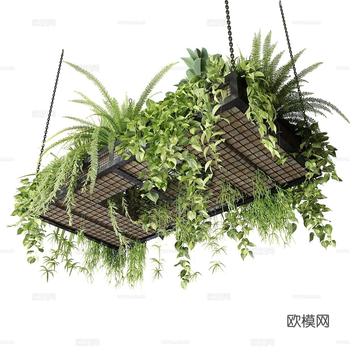 现代悬挂绿植 植物架  安佩尔植物3d模型下载（渲染图2）