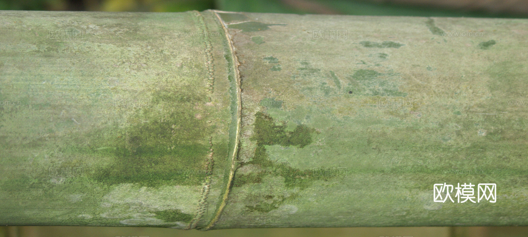 竹子 竹干 竹排 竹筏 竹编