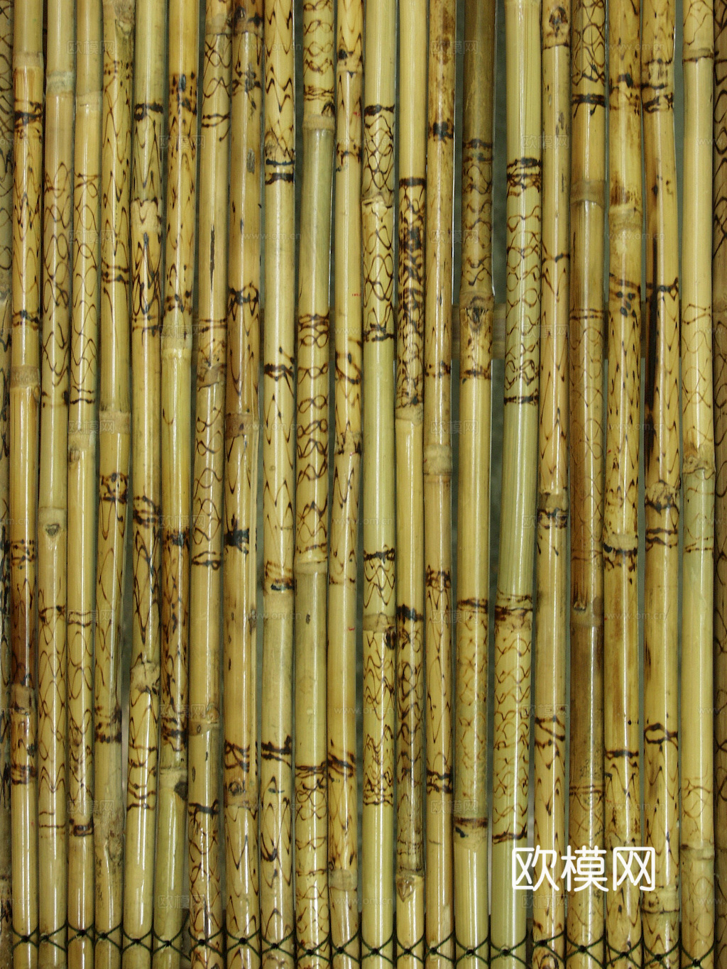 竹子 竹干 竹排 竹筏