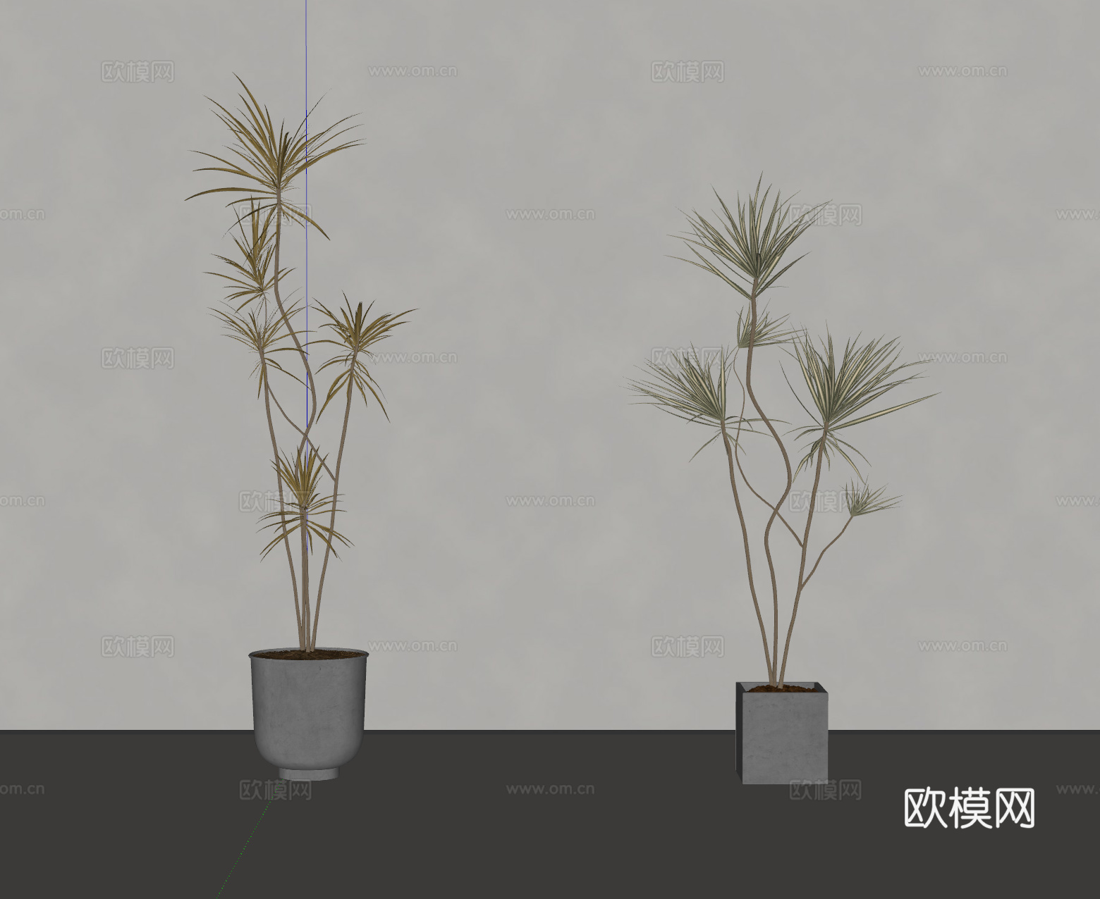 现代绿植盆栽 植物 盆景su模型