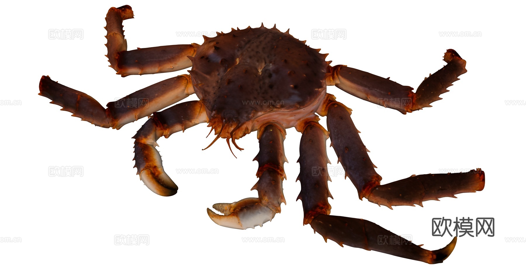 一只大闸蟹su模型