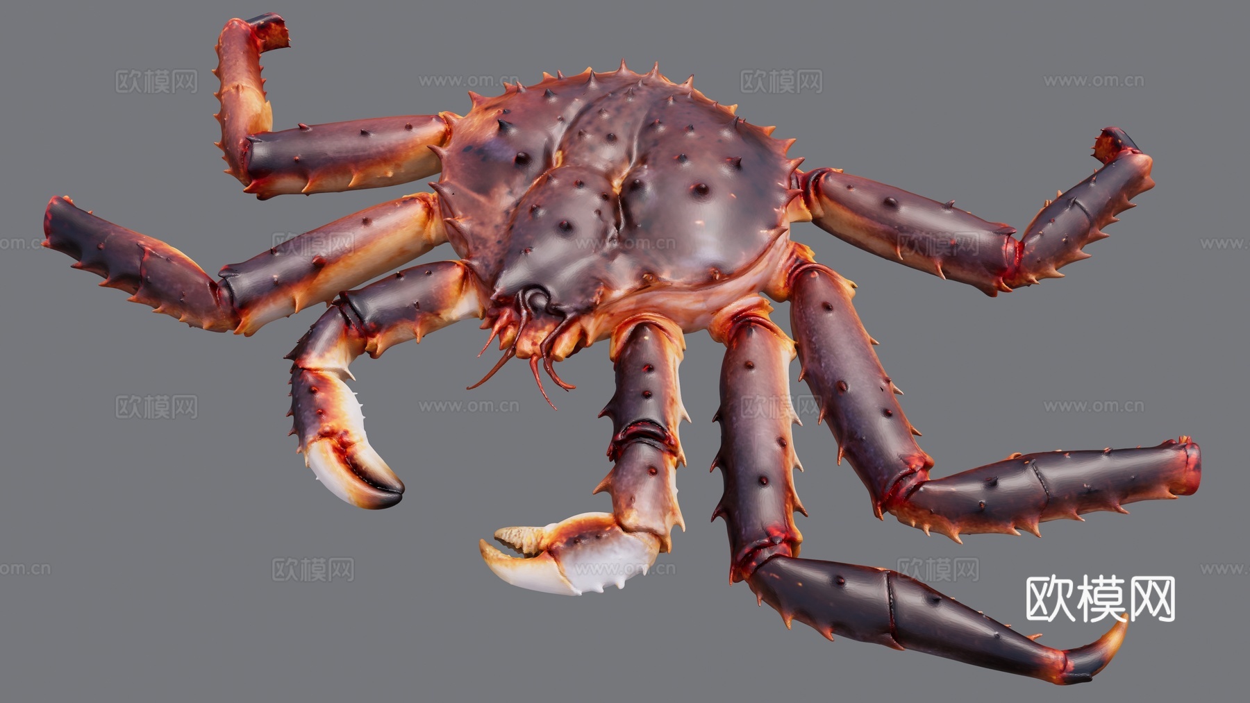 一只大闸蟹su模型