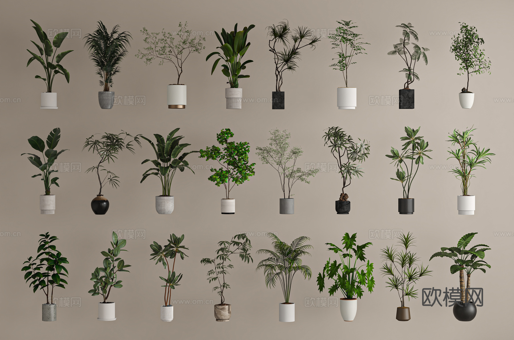 现代盆栽组合3d模型下载