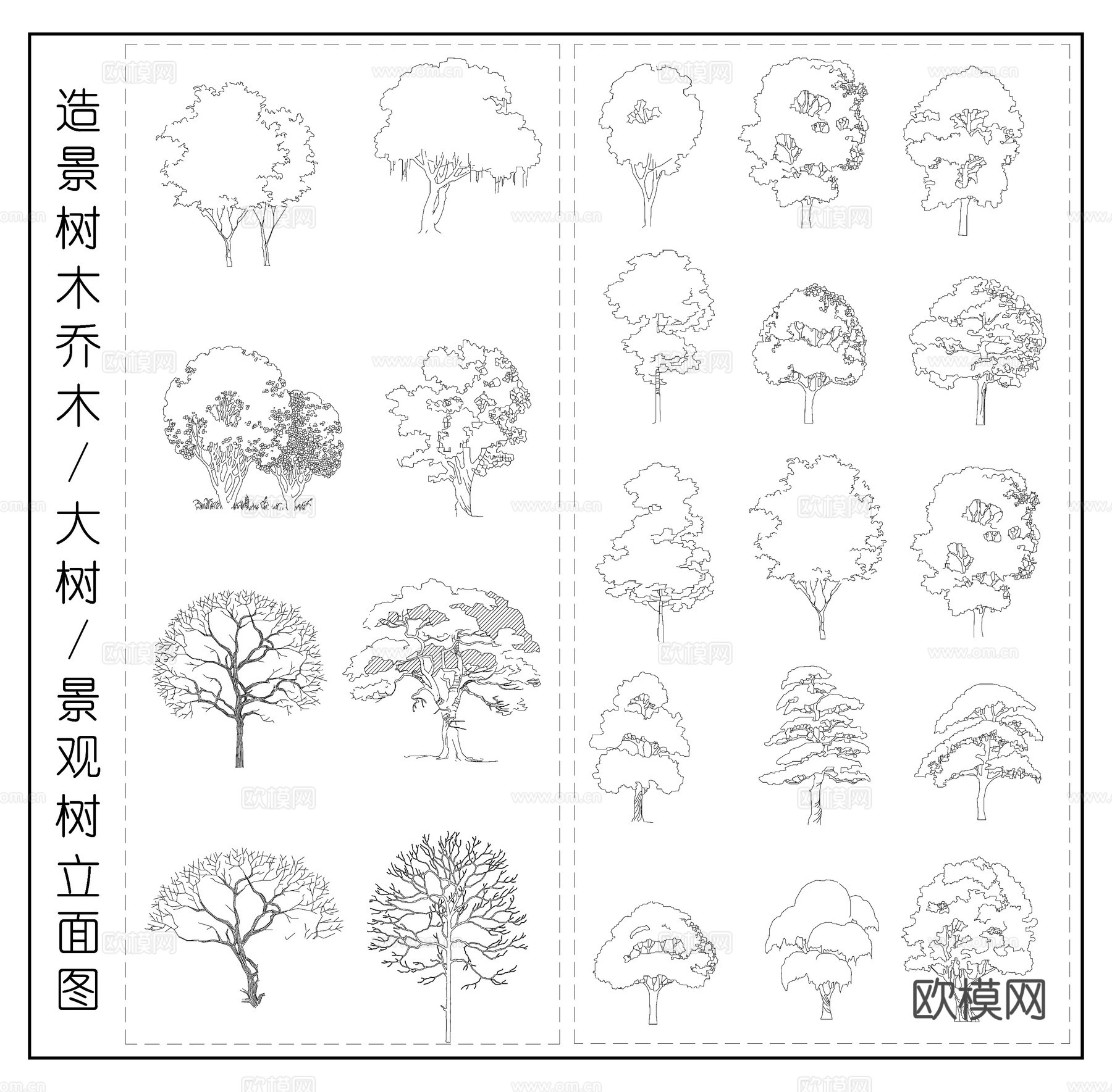 造景树木乔木 景观树 木树立面图cad施工图
