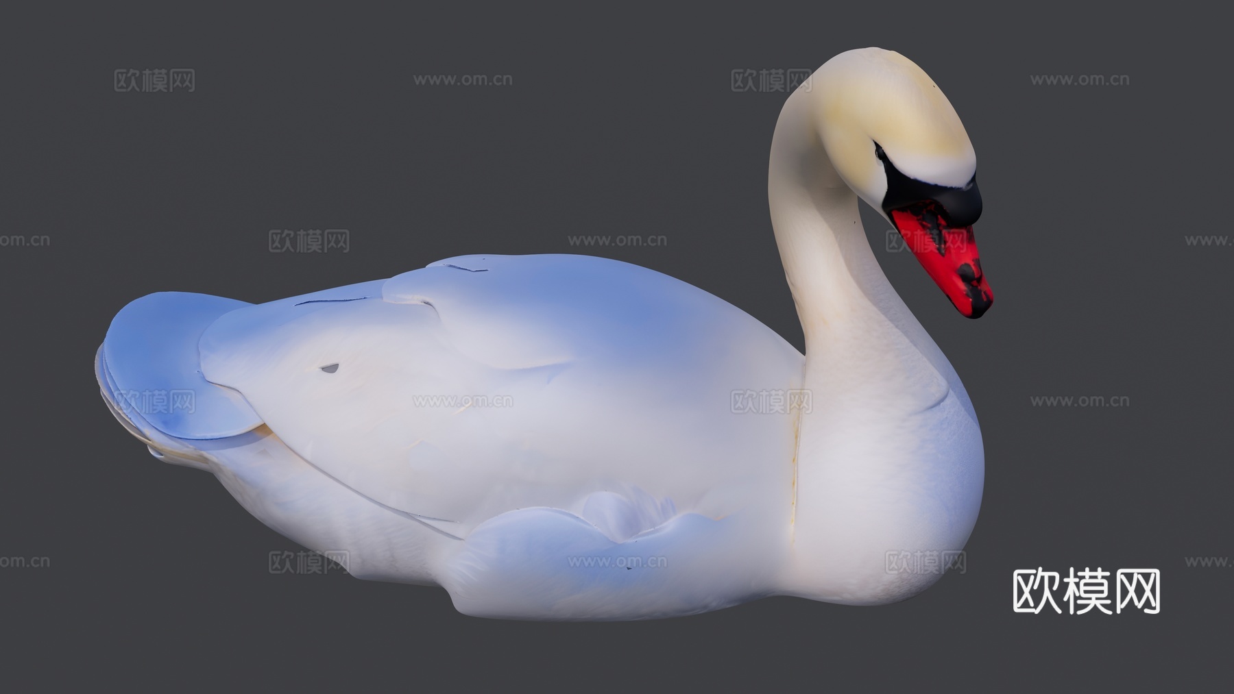 白天鹅su模型