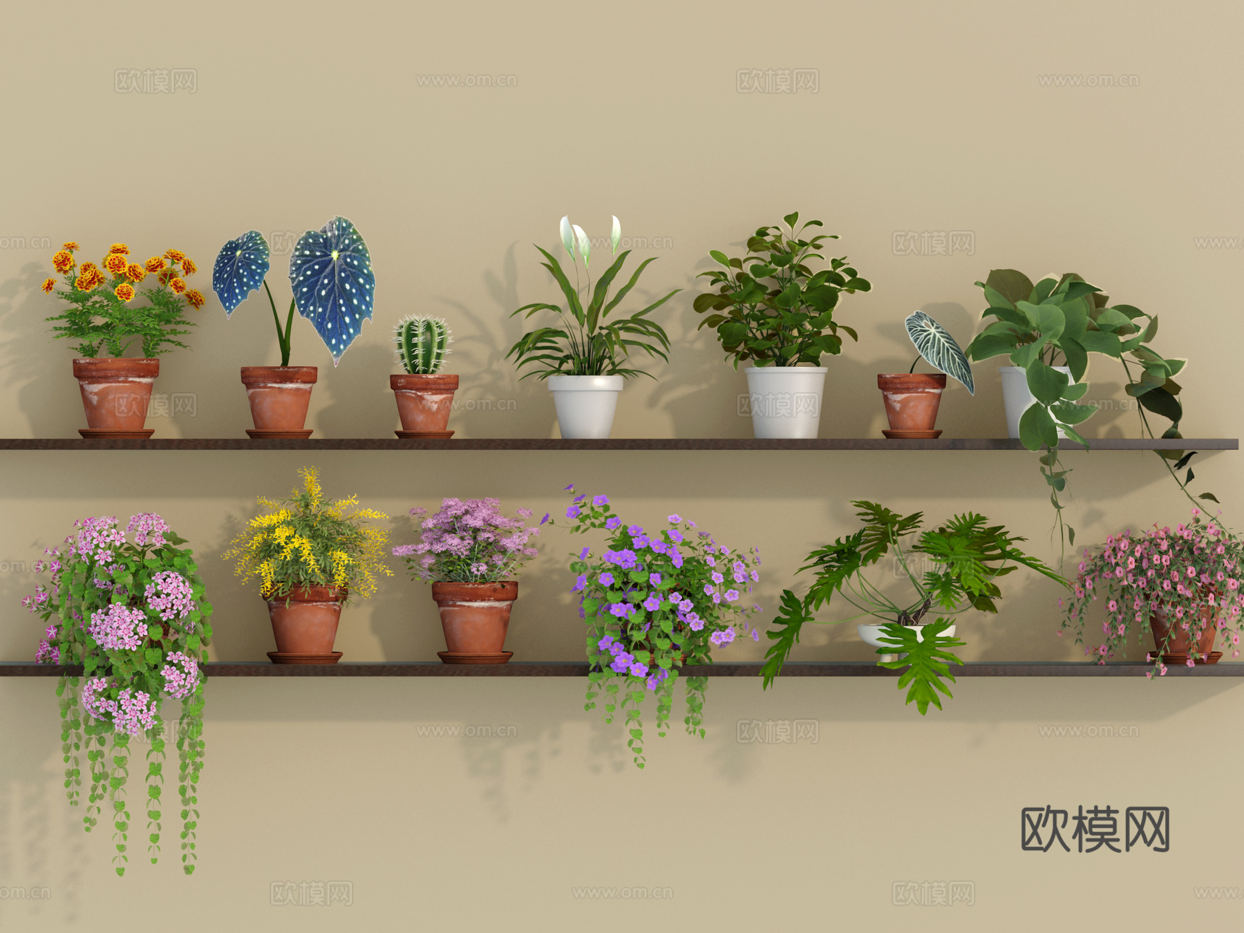 绿植 植物 多肉 盆栽 小绿植su模型