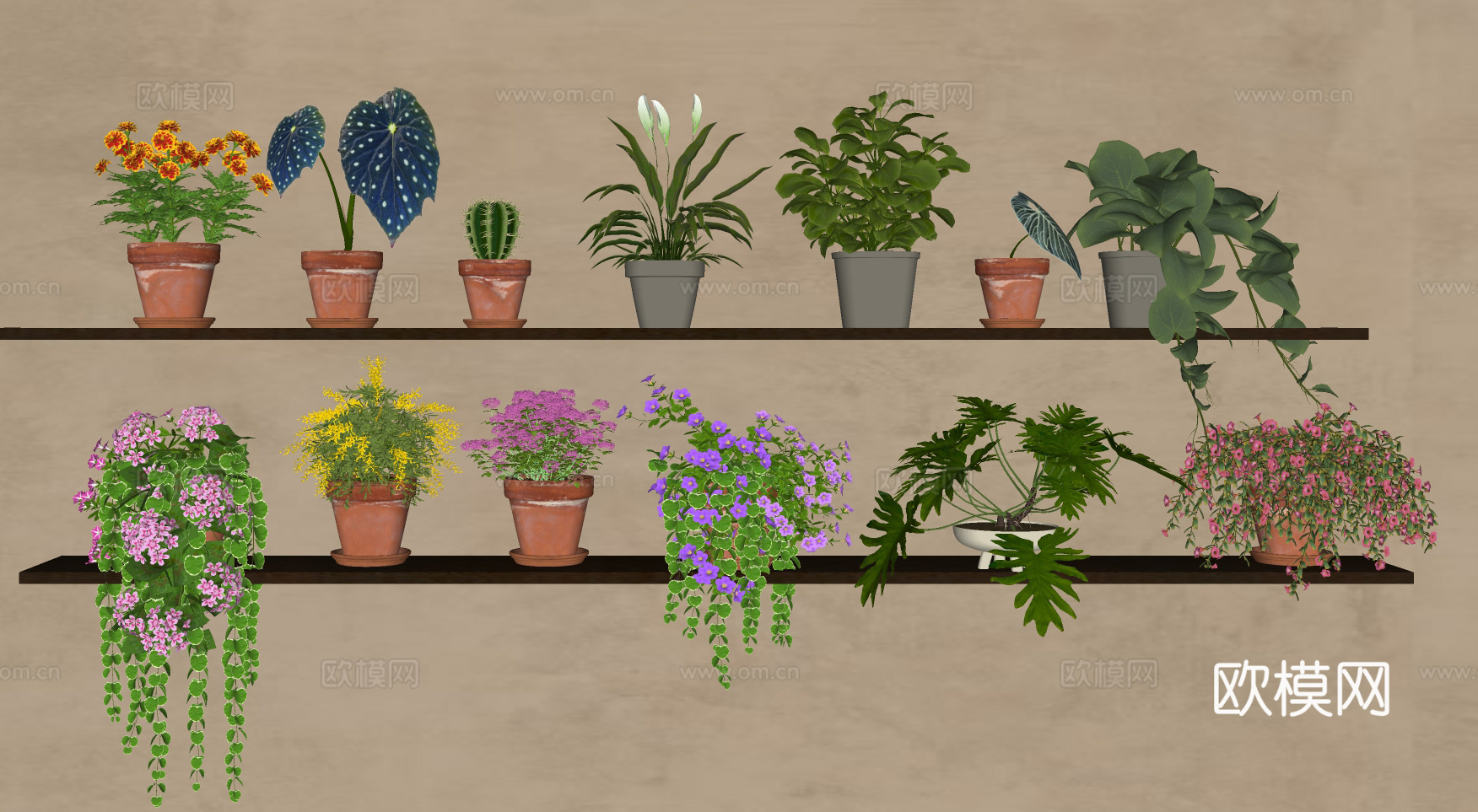 绿植 植物 多肉 盆栽 小绿植su模型