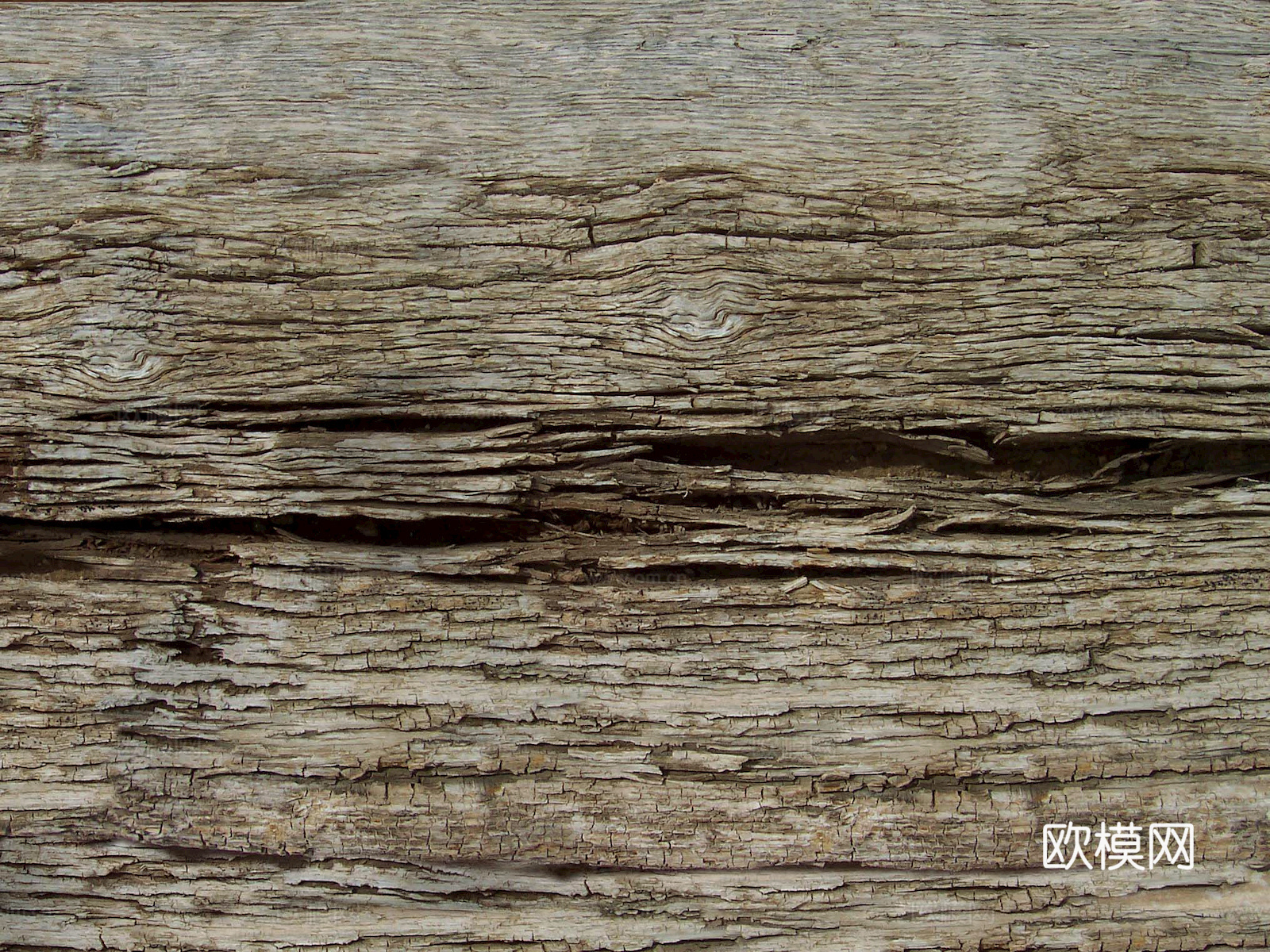 树皮 树干 木头 残旧木纹 木材 木柴 树枝下载