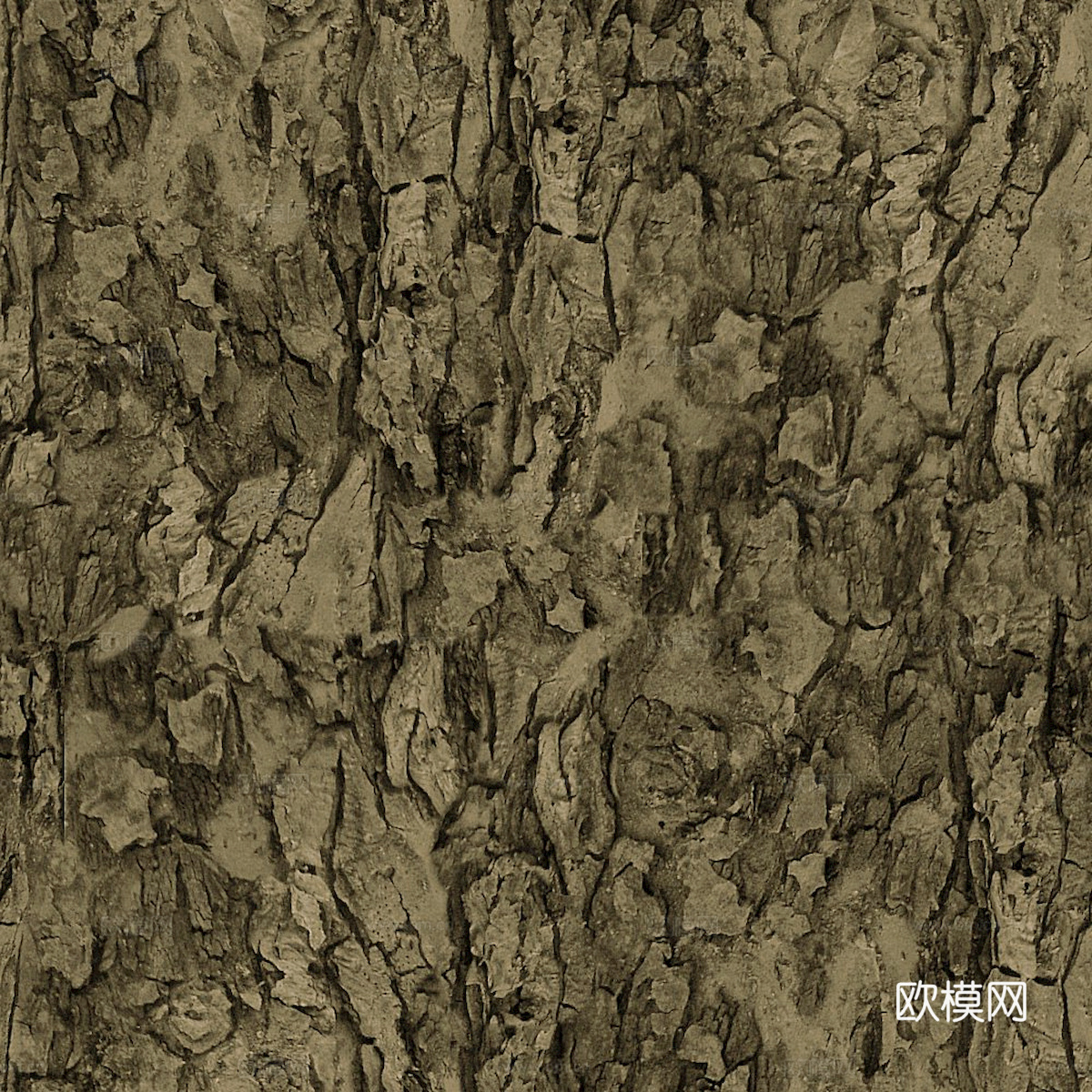 树皮 树干 木头 残旧木纹 木材 木柴 树枝