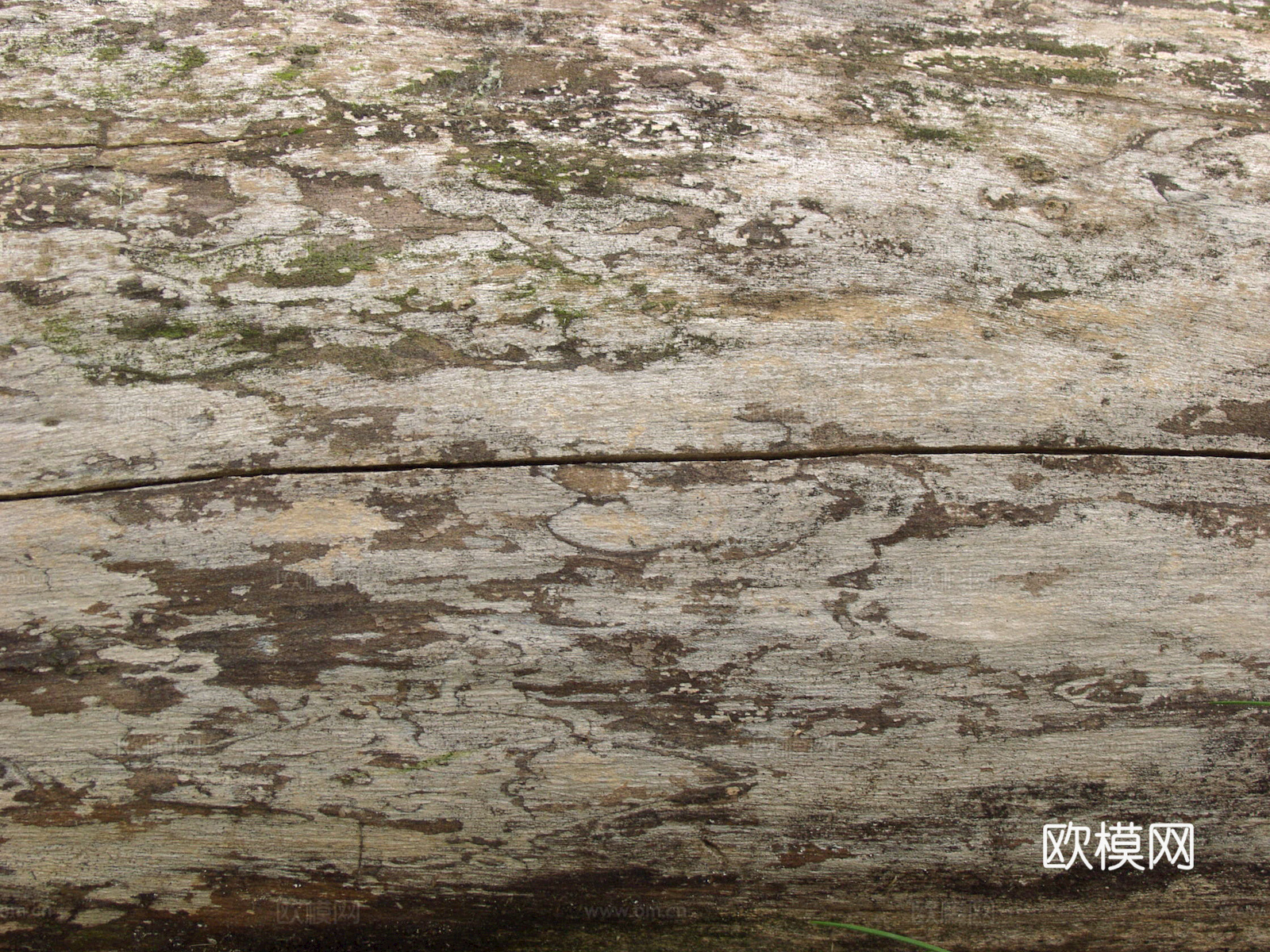 树皮 树干 木头 残旧木纹 木材 木柴 树枝下载