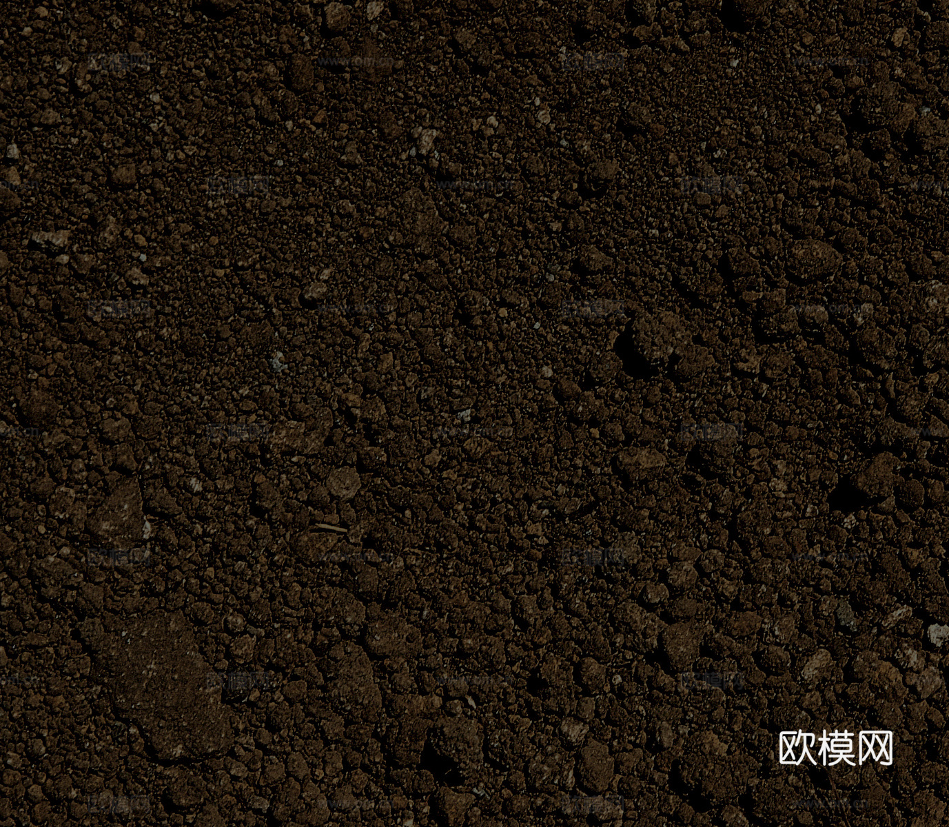 树皮 树干 木头 残旧木纹 木材 木柴 树枝 木柴 树根下载