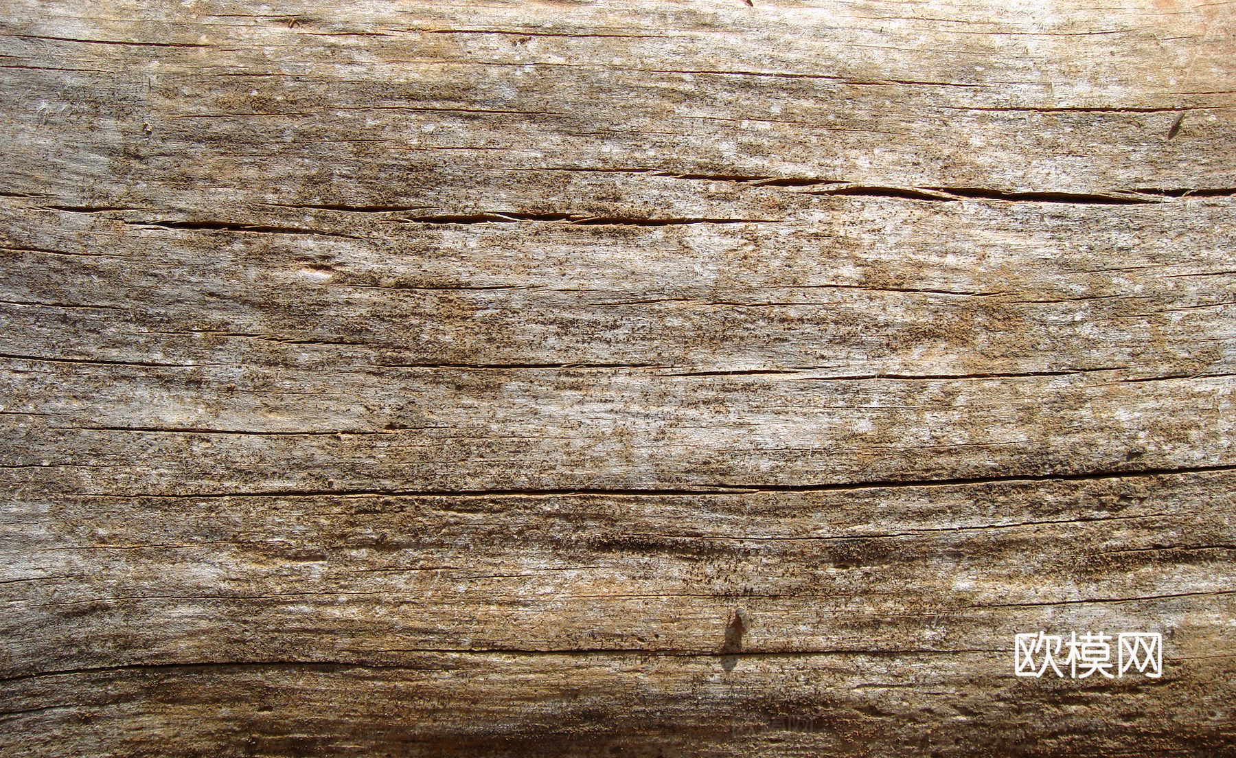 树皮 树干 木头 残旧木纹 木材 木柴 树枝下载
