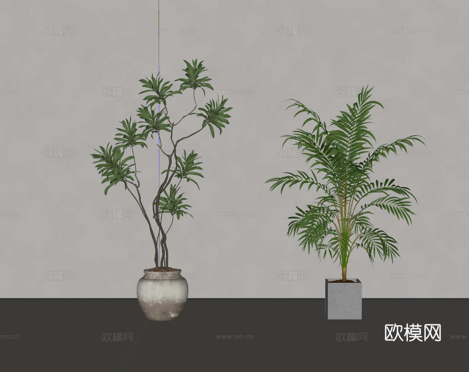 现代绿植盆栽 植物 盆景su模型
