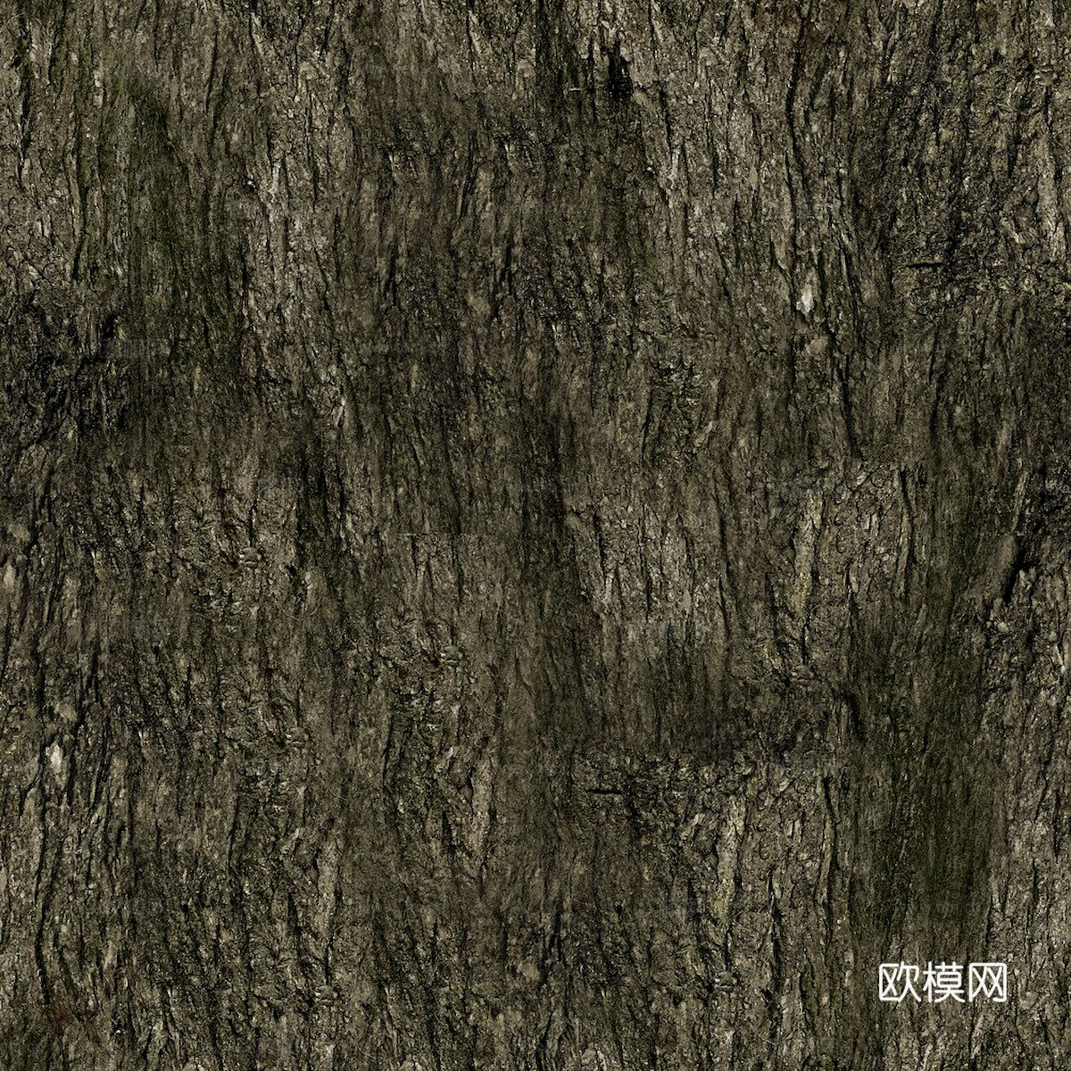 树皮 树干 木头 残旧木纹 木材 木柴 树枝下载