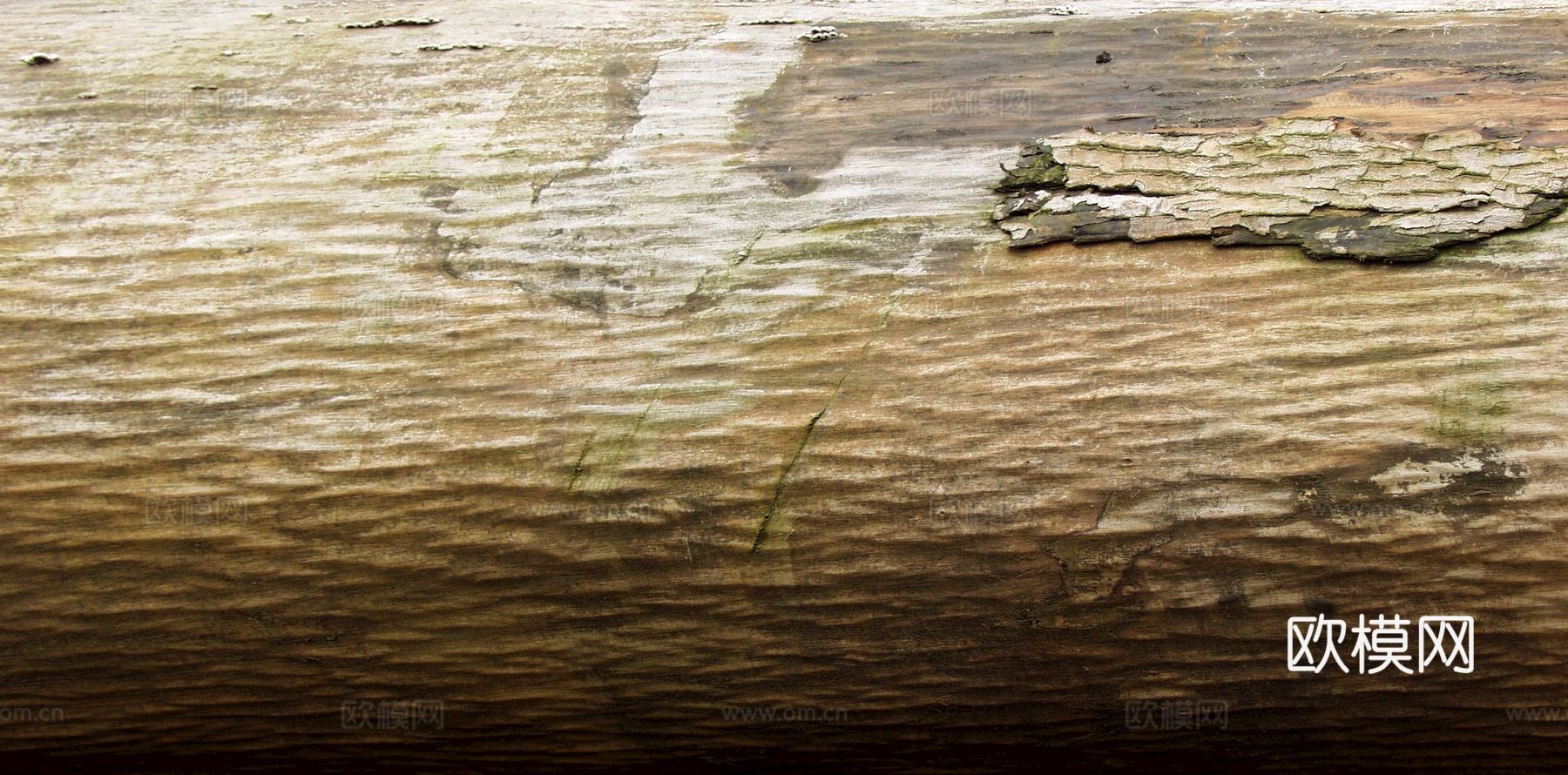 树皮 树干 木头 残旧木纹 木材 木柴 树枝下载