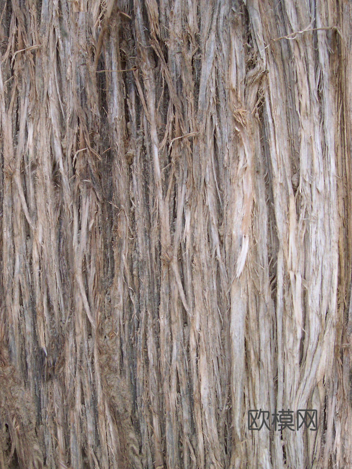 树皮 树干 木头 残旧木纹 木材 木柴 树枝下载