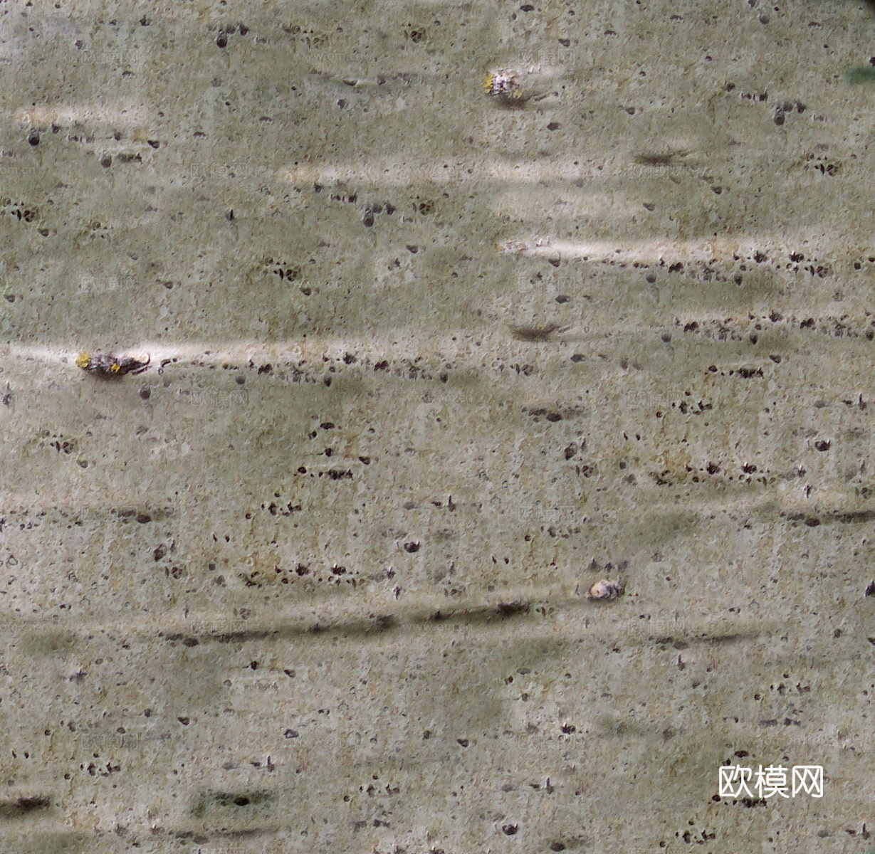 树皮 树干 木头 残旧木纹 木材 木柴 树枝下载