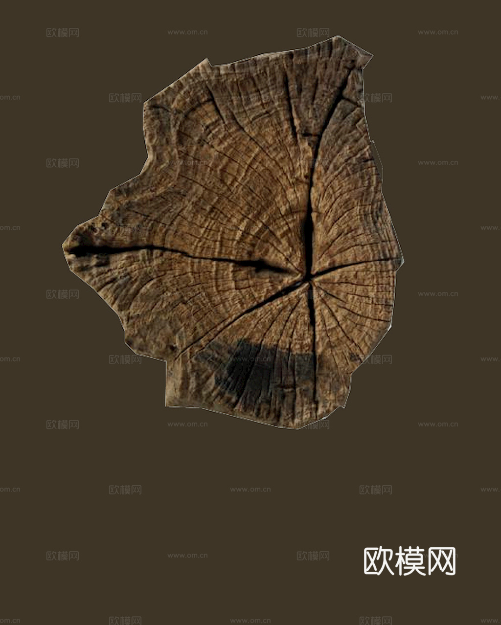 树木 年轮 木桩 树干 木头 残旧木纹 木材  干木柴 树根下载