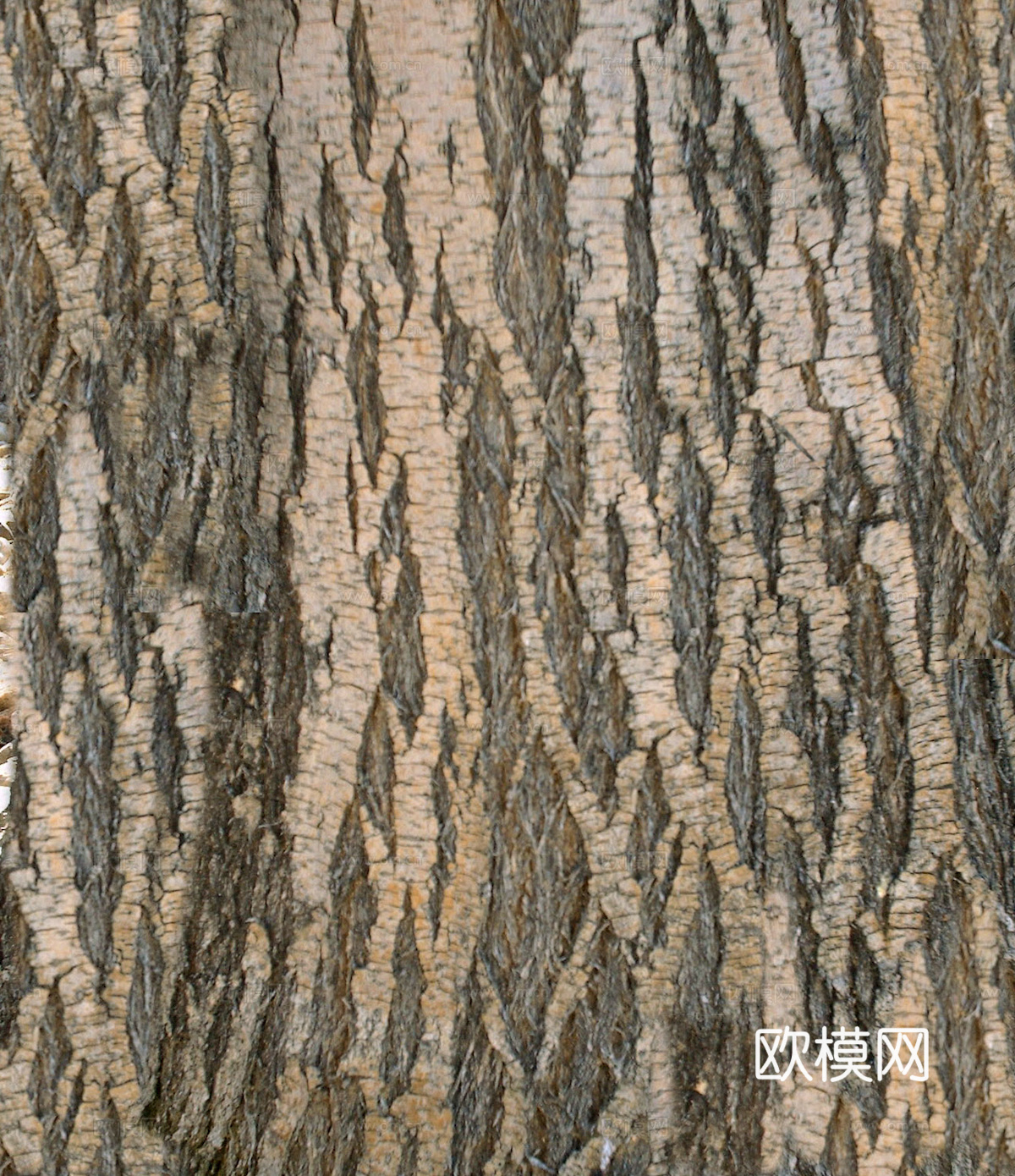 树皮 树干 木头 残旧木纹 木材 木柴 树枝