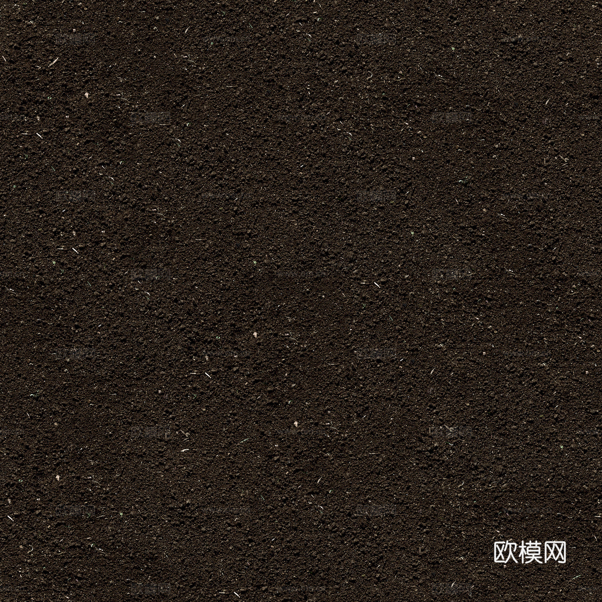 树皮 树干 木头 残旧木纹 木材 木柴 树枝 木柴 树根下载