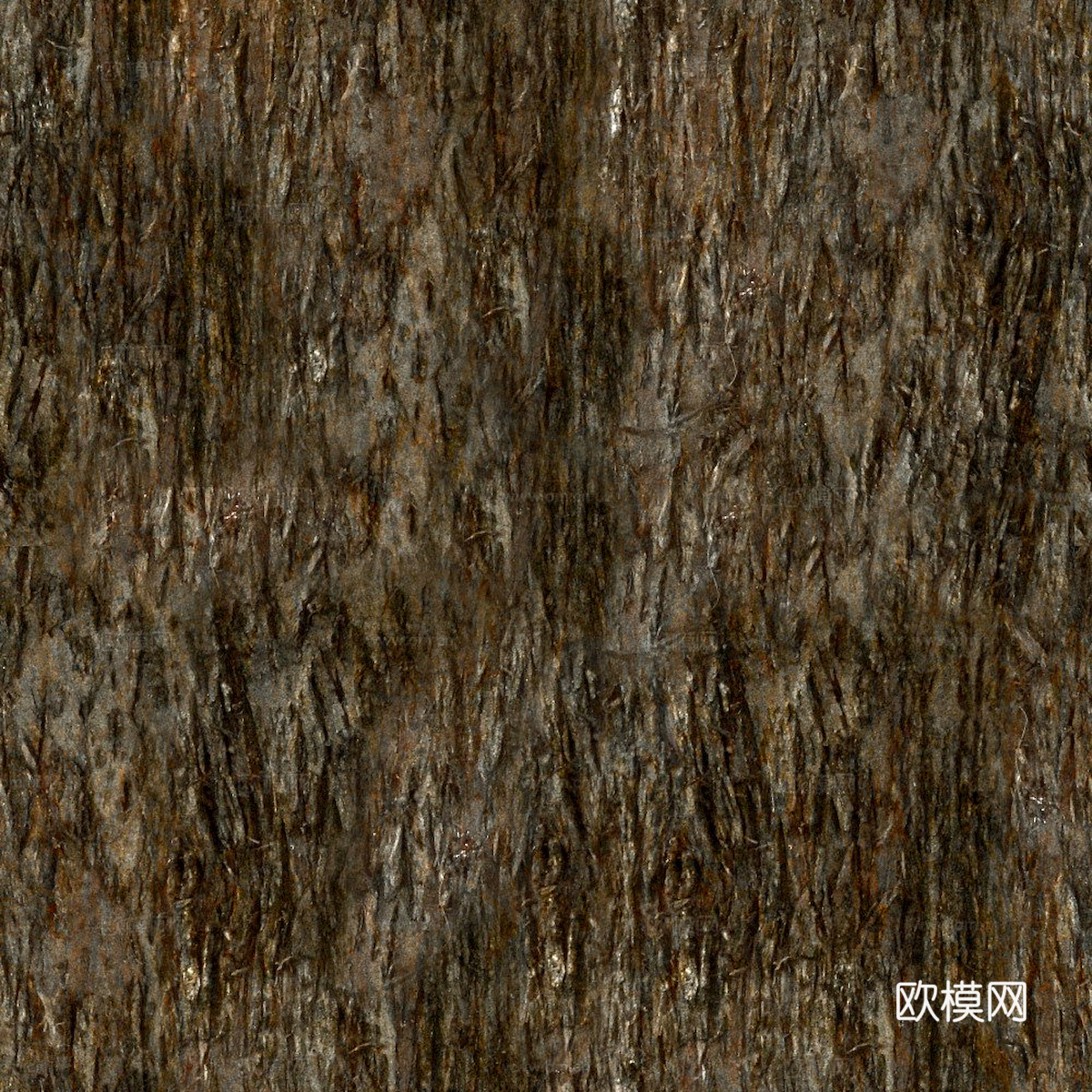 树皮 树干 木头 残旧木纹 木材 木柴 树枝下载