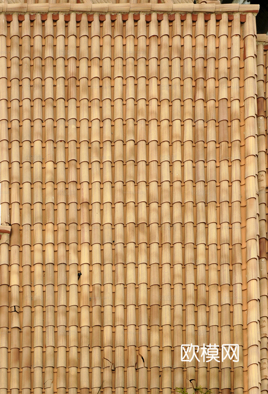 屋顶瓦片 红瓦 青瓦 房顶 中式建筑琉璃瓦下载