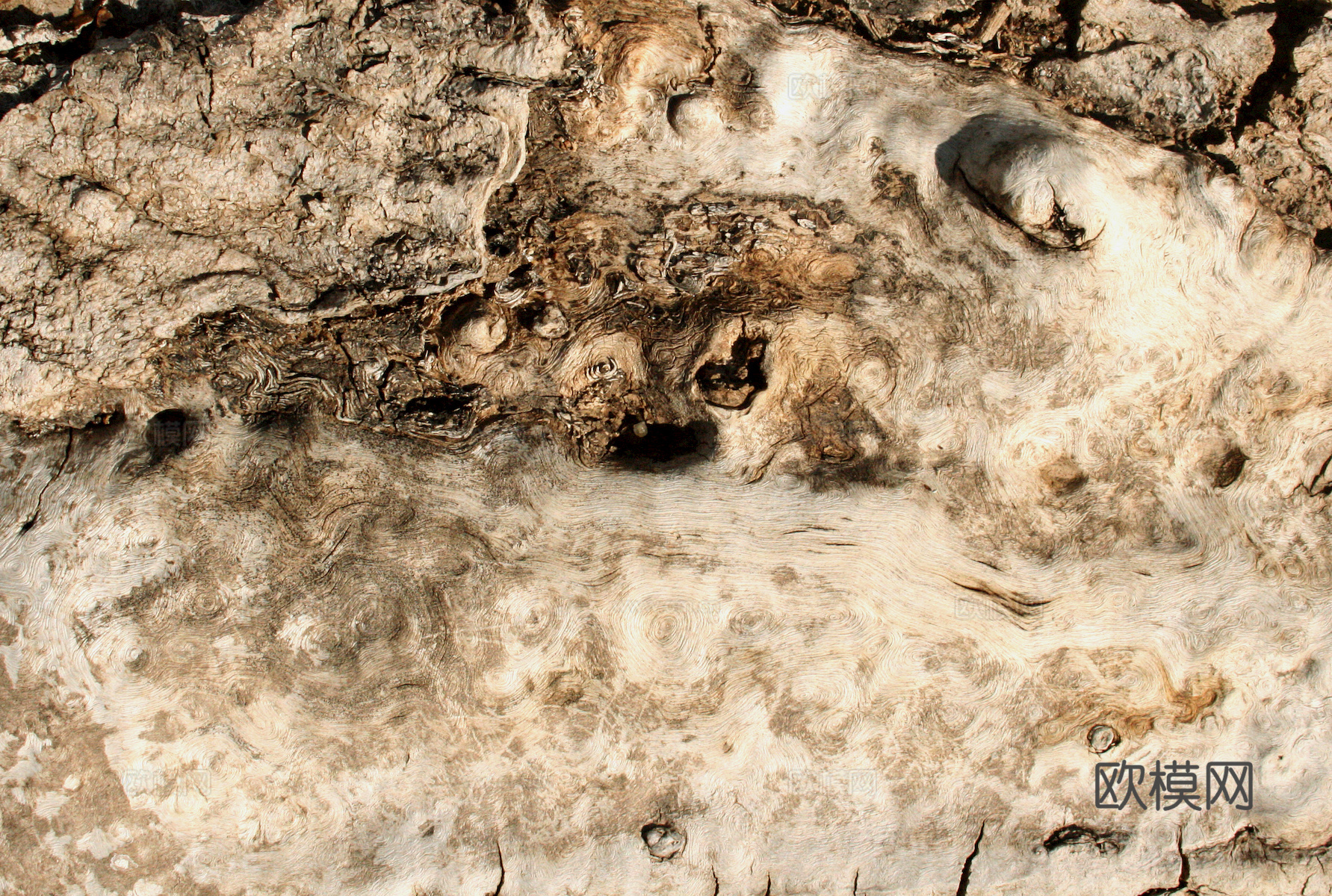 树皮 树干 木头 残旧木纹 木材 木柴 树枝