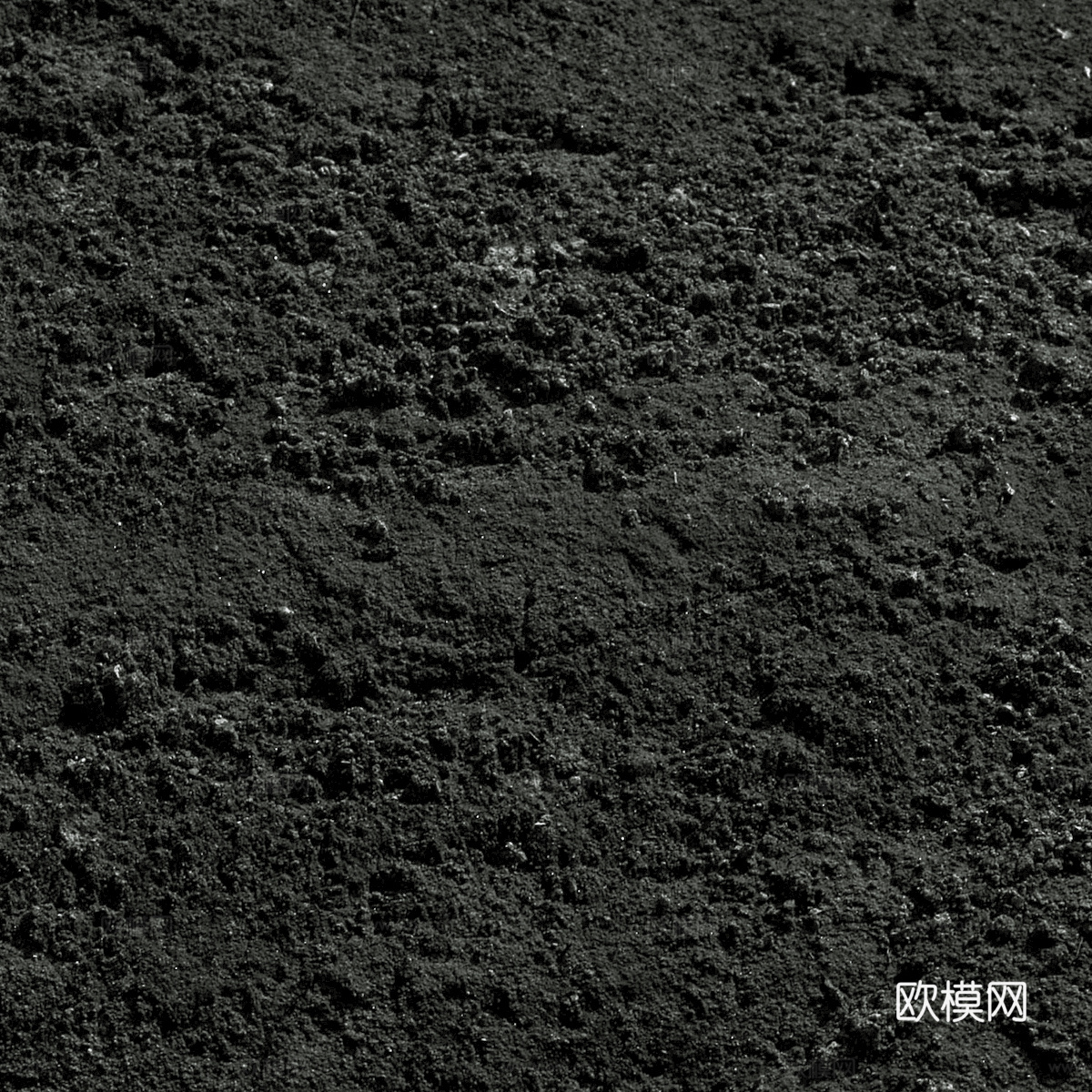 树皮 树干 木头 残旧木纹 木材 木柴 树枝 木柴 树根下载