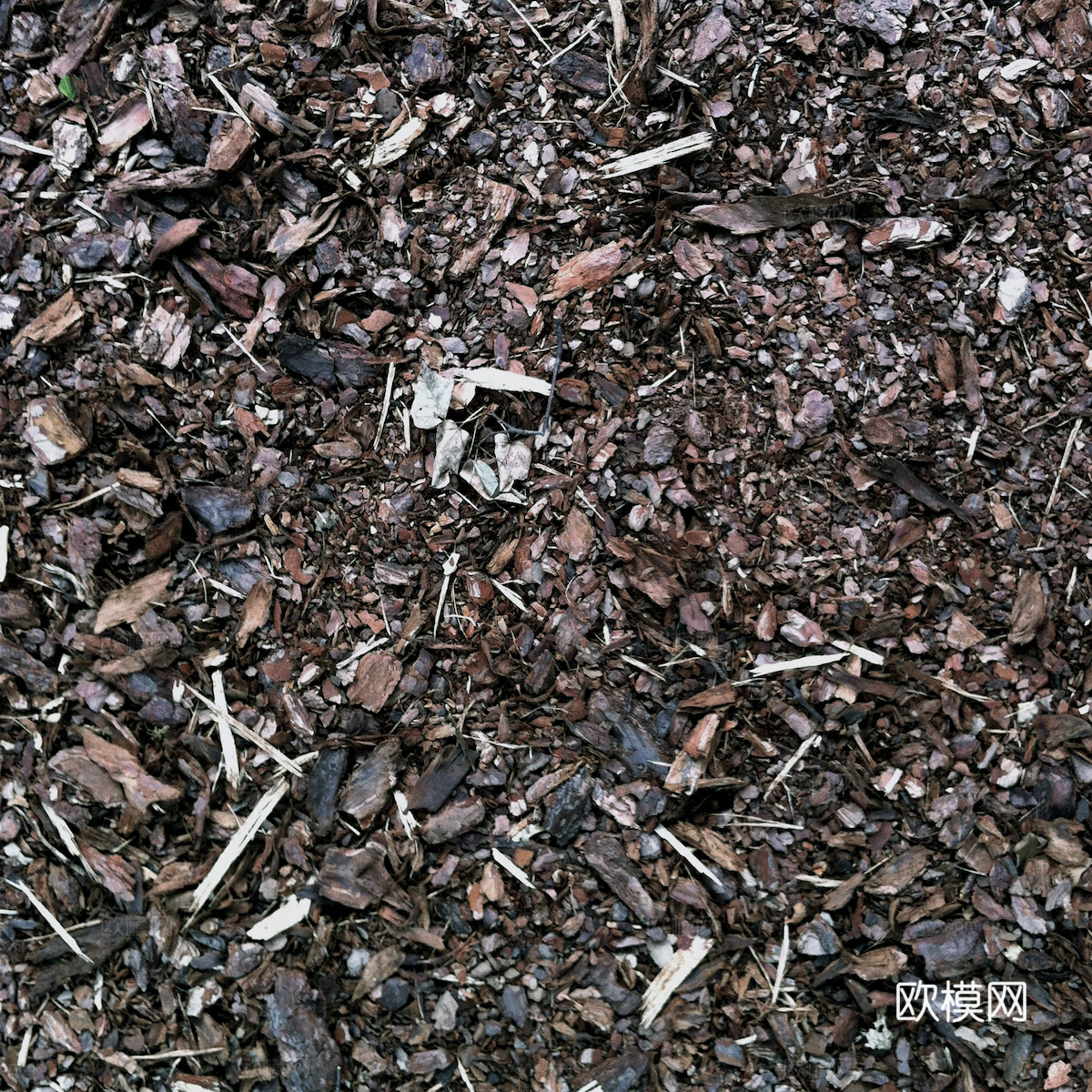 树皮 树干 木头 残旧木纹 木材 木柴 树枝 木柴 树根下载