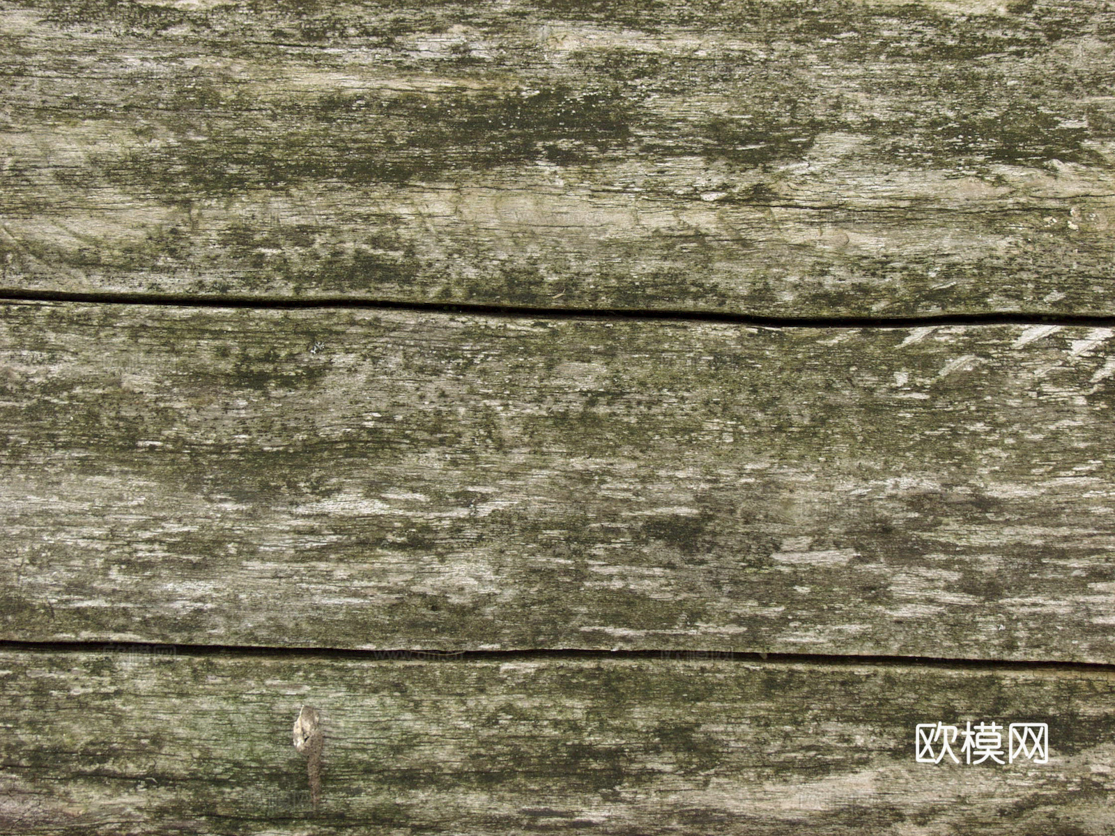 树皮 树干 木头 残旧木纹 木材 木柴 树枝下载