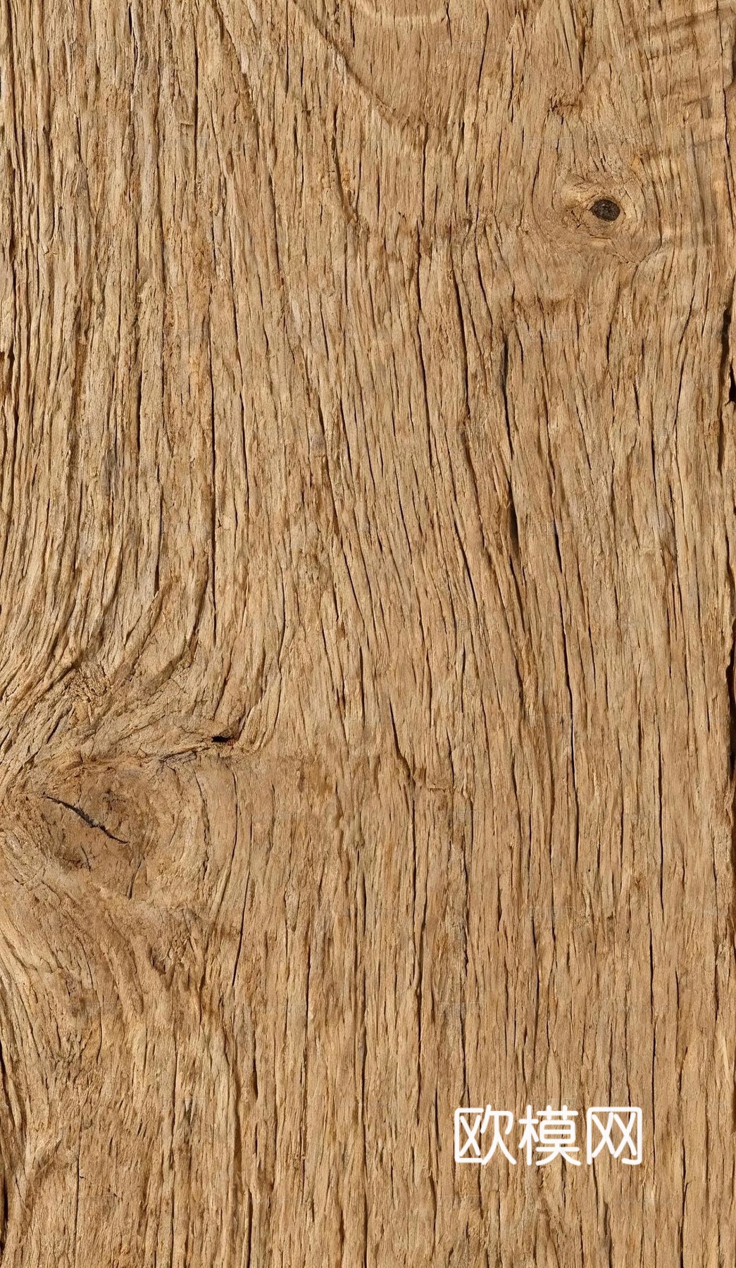 名宿 原木风 新中式 天然木纹 原木木纹 原木色木皮下载
