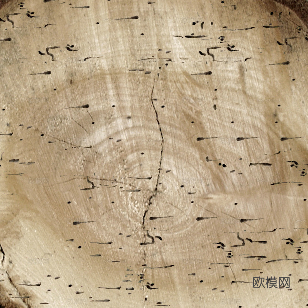 树木 年轮 木桩 树干 木头 残旧木纹 木材  干木柴 树根下载