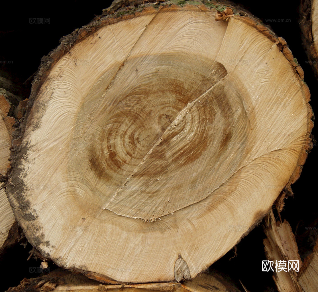 树木 年轮 木桩 树干 木头 残旧木纹 木材  干木柴 树根下载