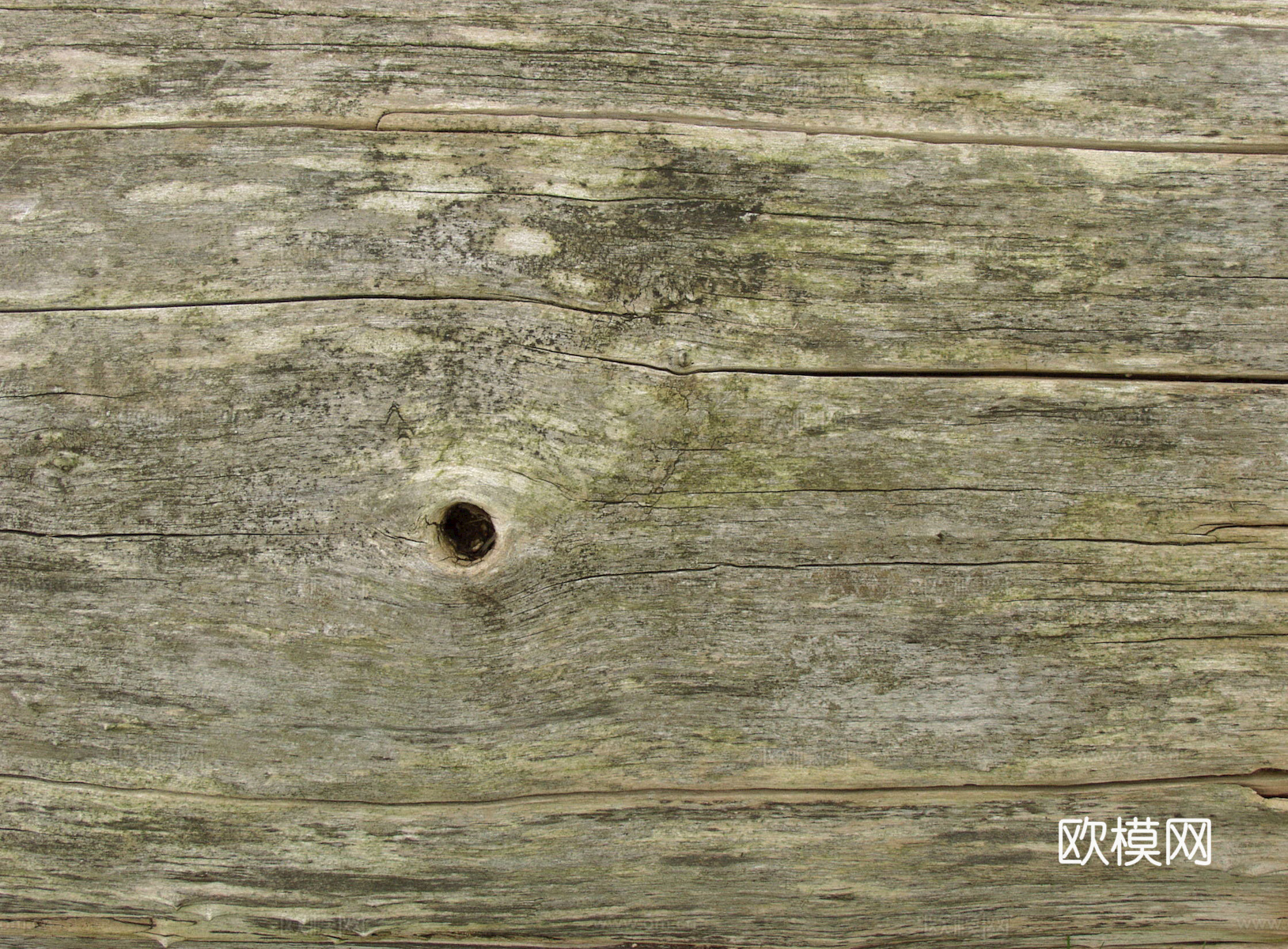 树皮 树干 木头 残旧木纹 木材 木柴 树枝下载