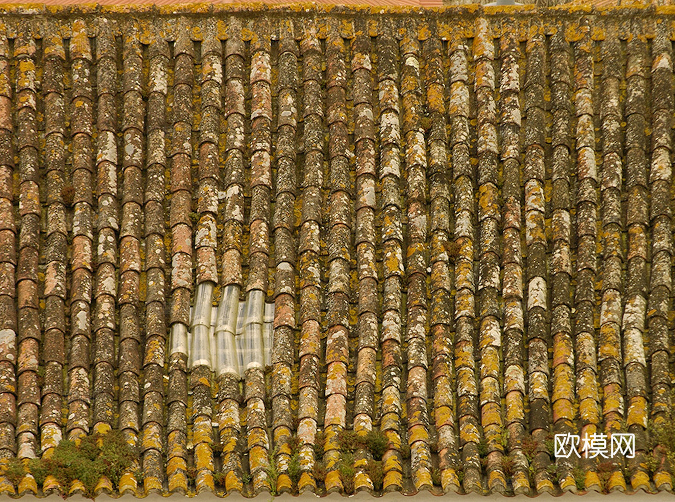 屋顶瓦片 红瓦 青瓦 房顶 中式建筑琉璃瓦