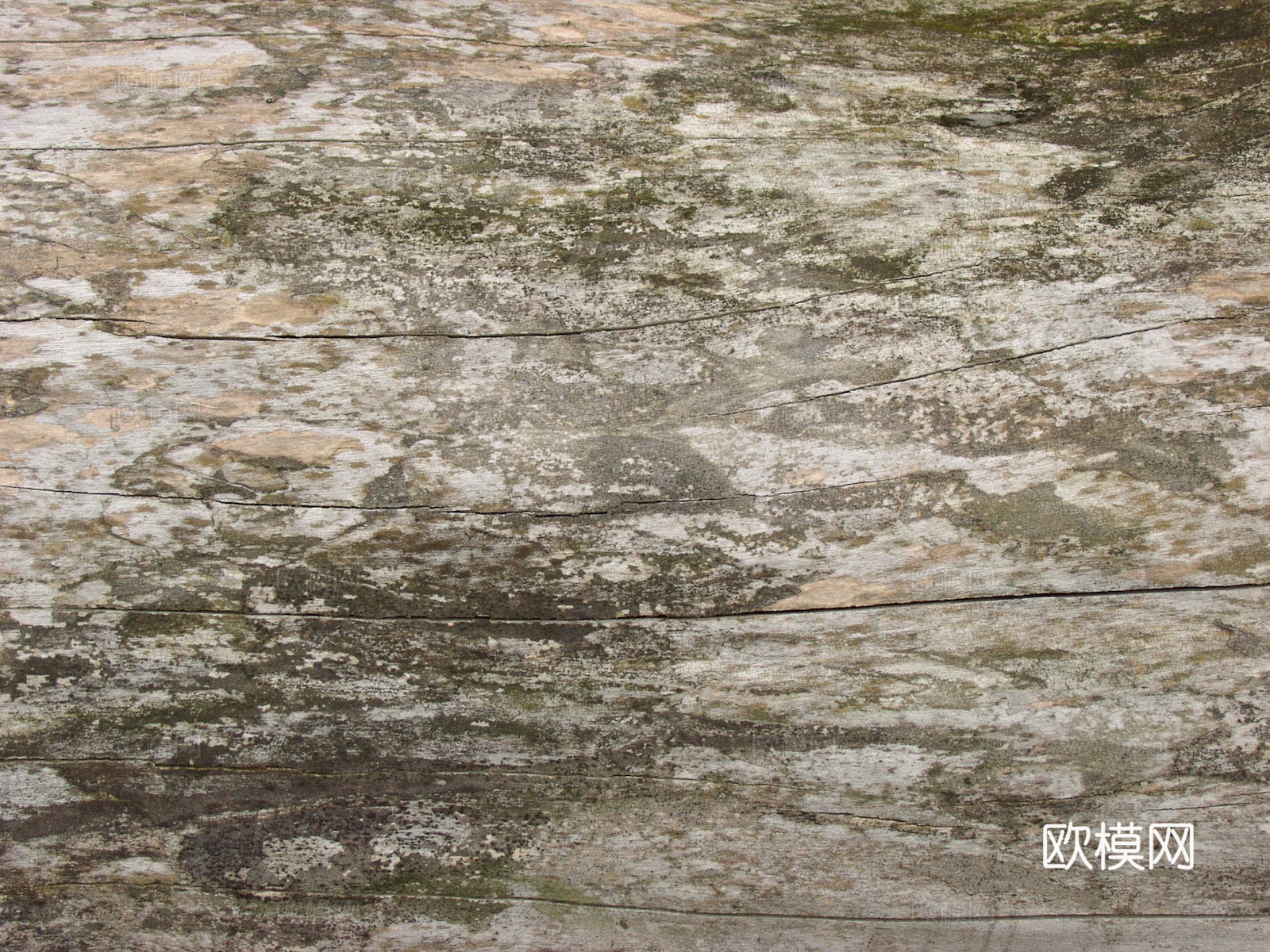 树皮 树干 木头 残旧木纹 木材 木柴 树枝下载