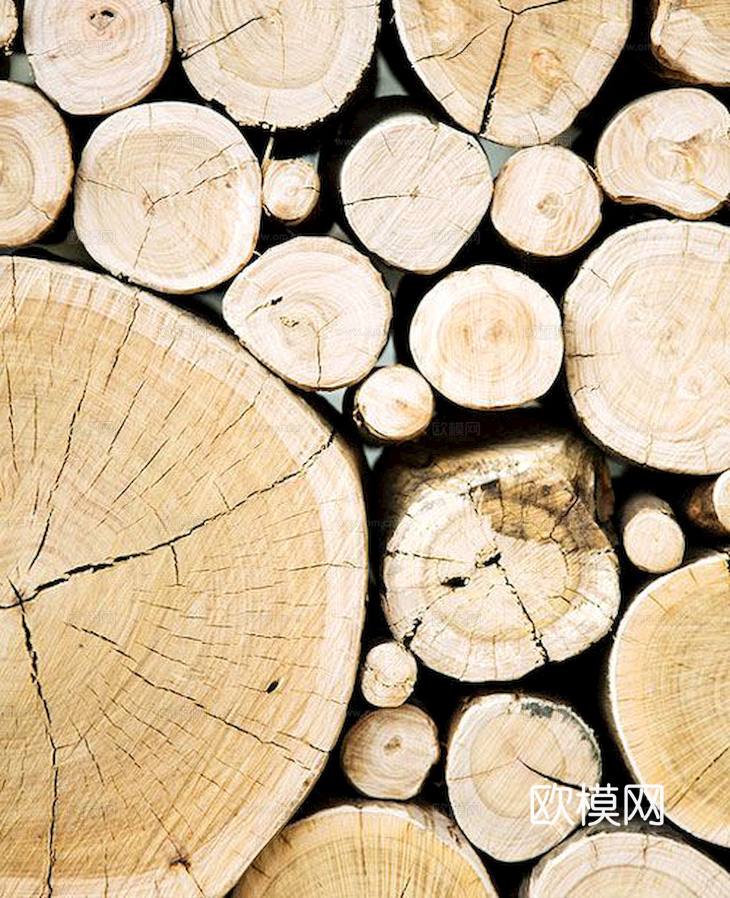 树木 年轮 木桩 树干 木头 残旧木纹 木材  干木柴 树根下载