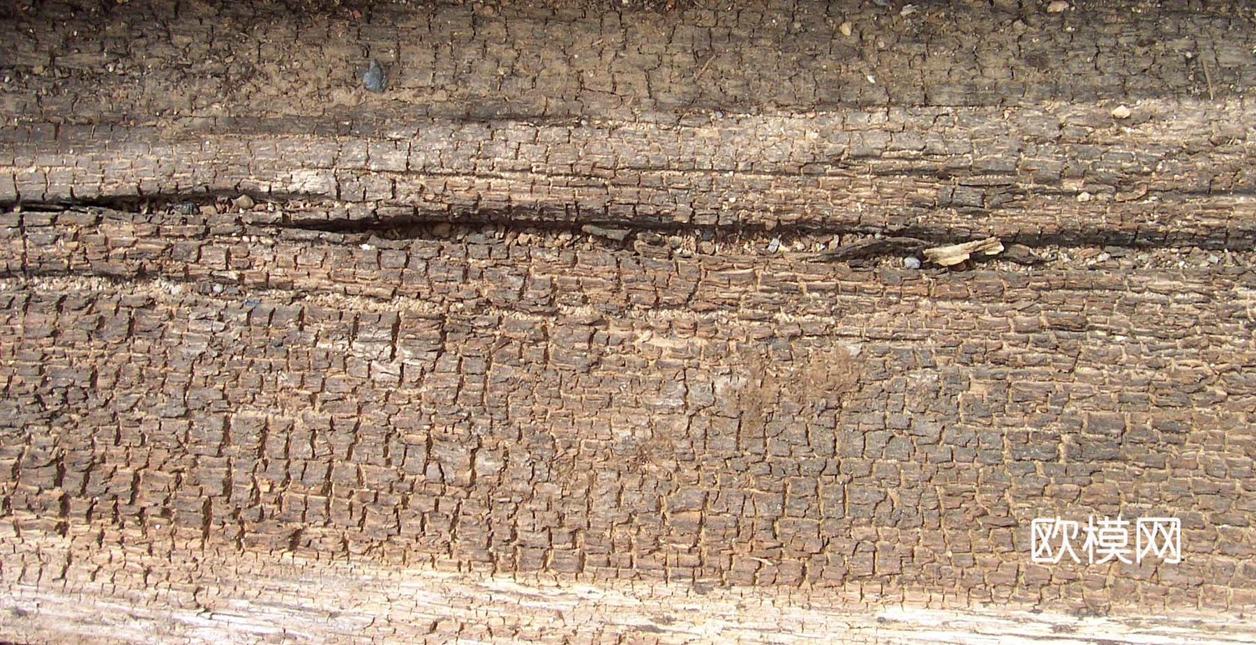 树皮 树干 木头 残旧木纹 木材 木柴 树枝