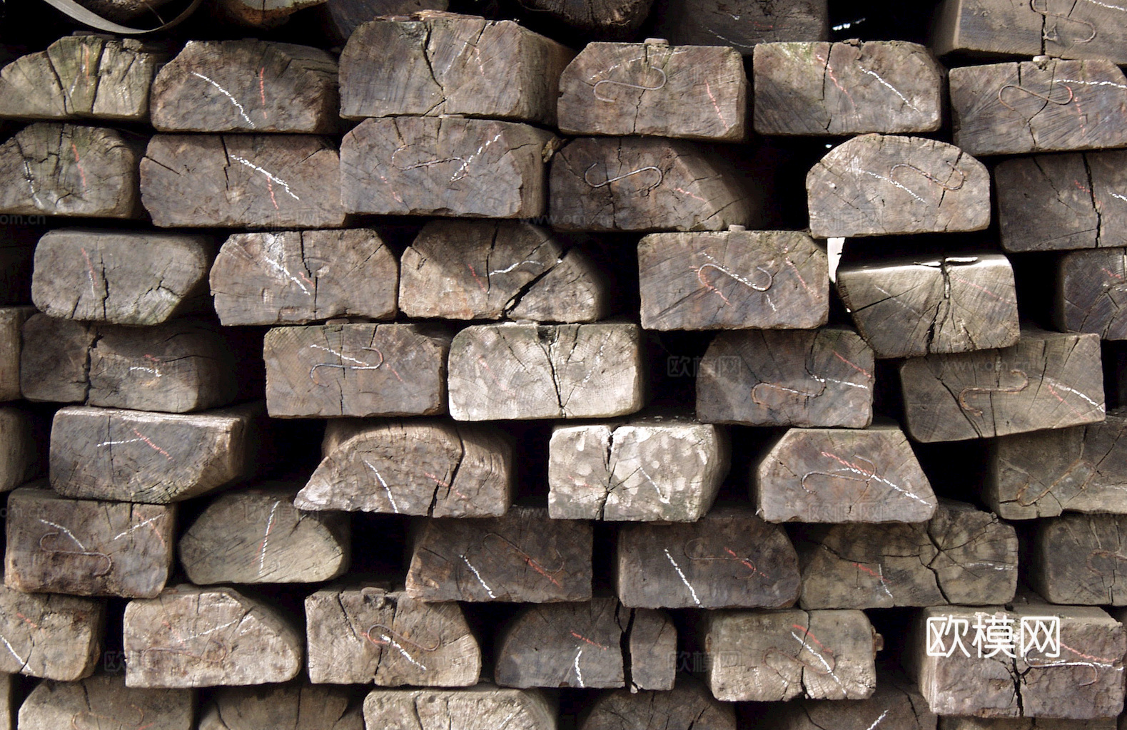 树木 年轮 木桩 树干 木头 残旧木纹 木材  干木柴 树根下载