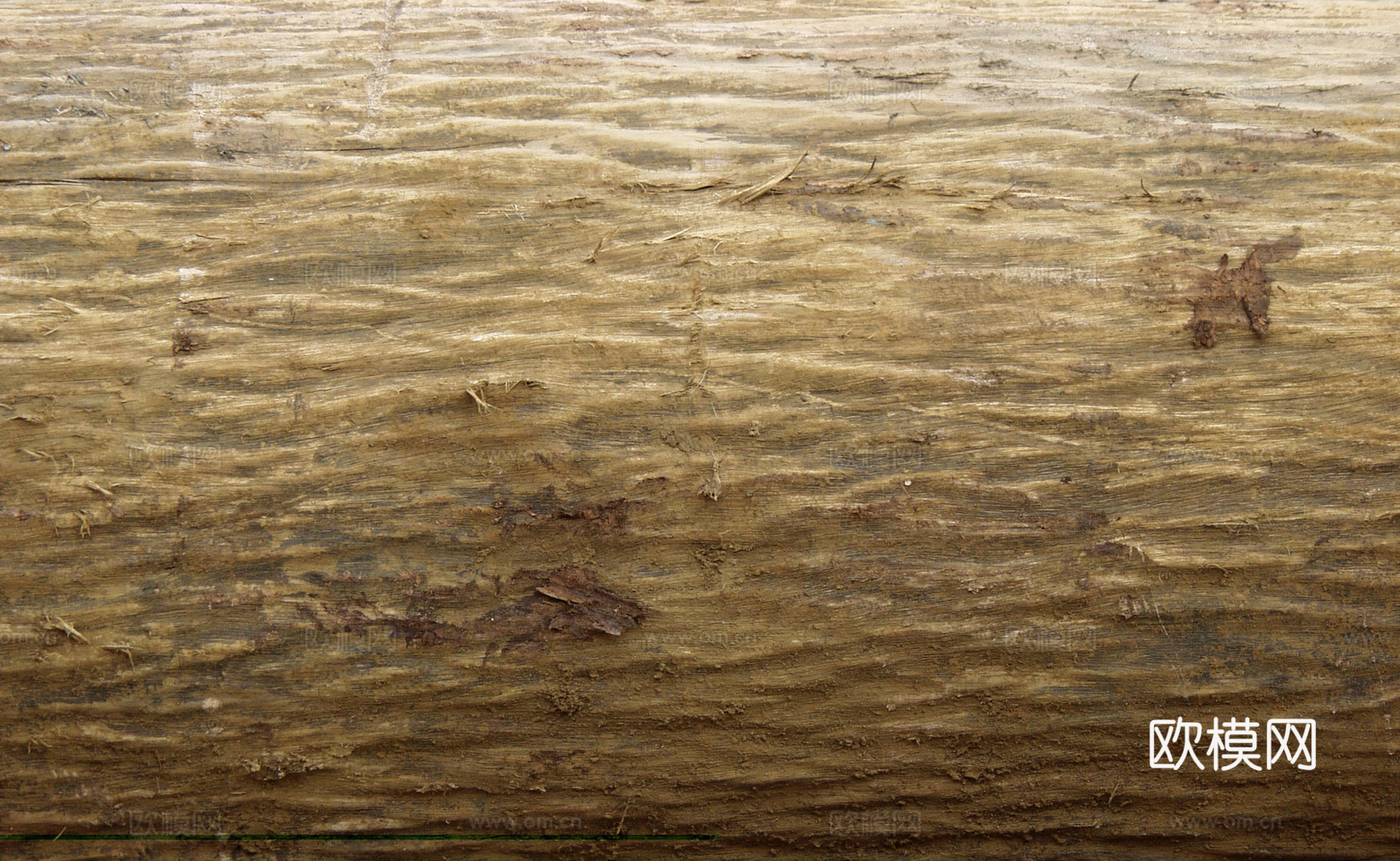 树皮 树干 木头 残旧木纹 木材 木柴 树枝下载