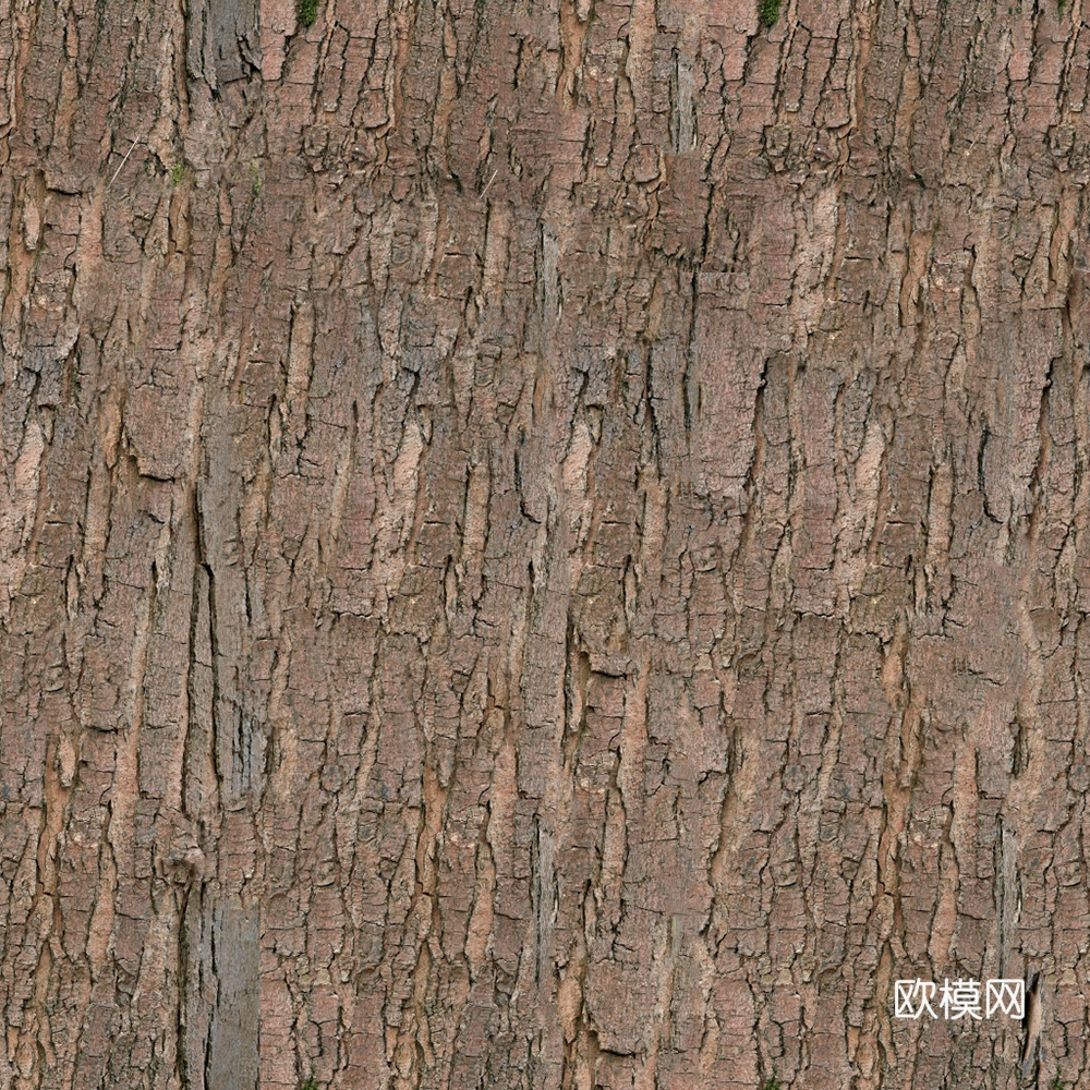 树皮贴图